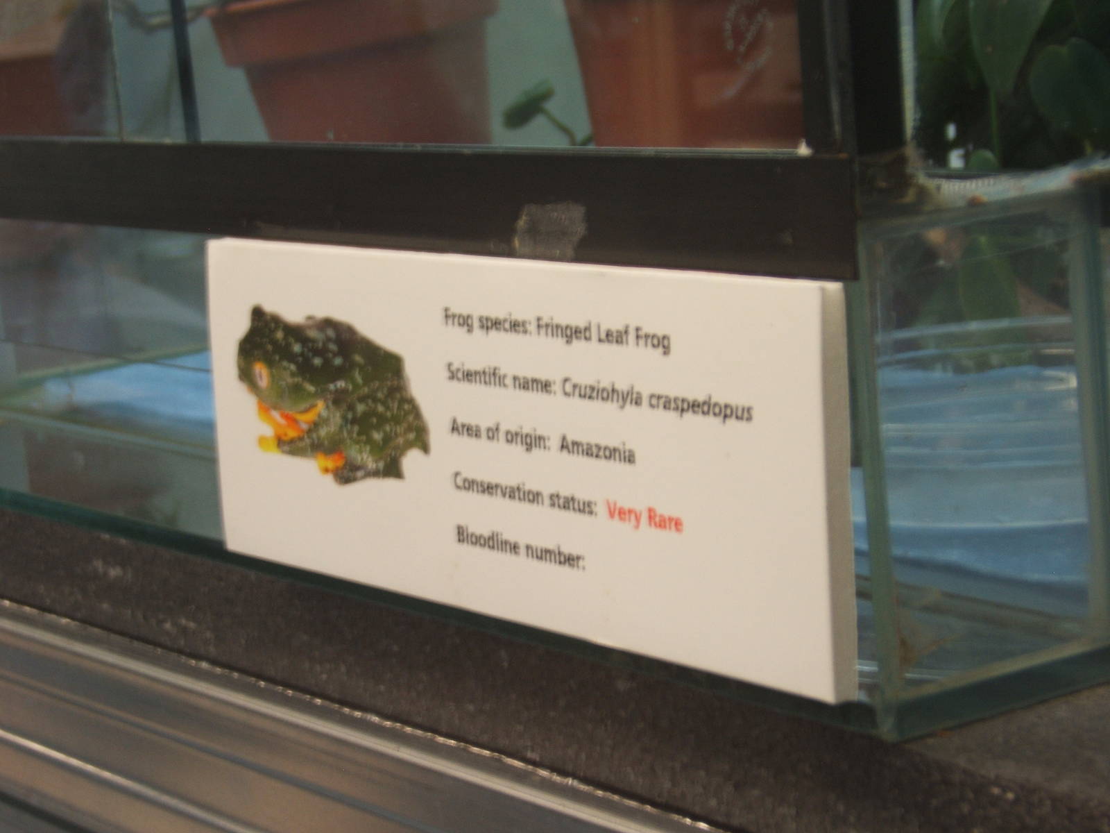 View of amphibian breeding room signage
