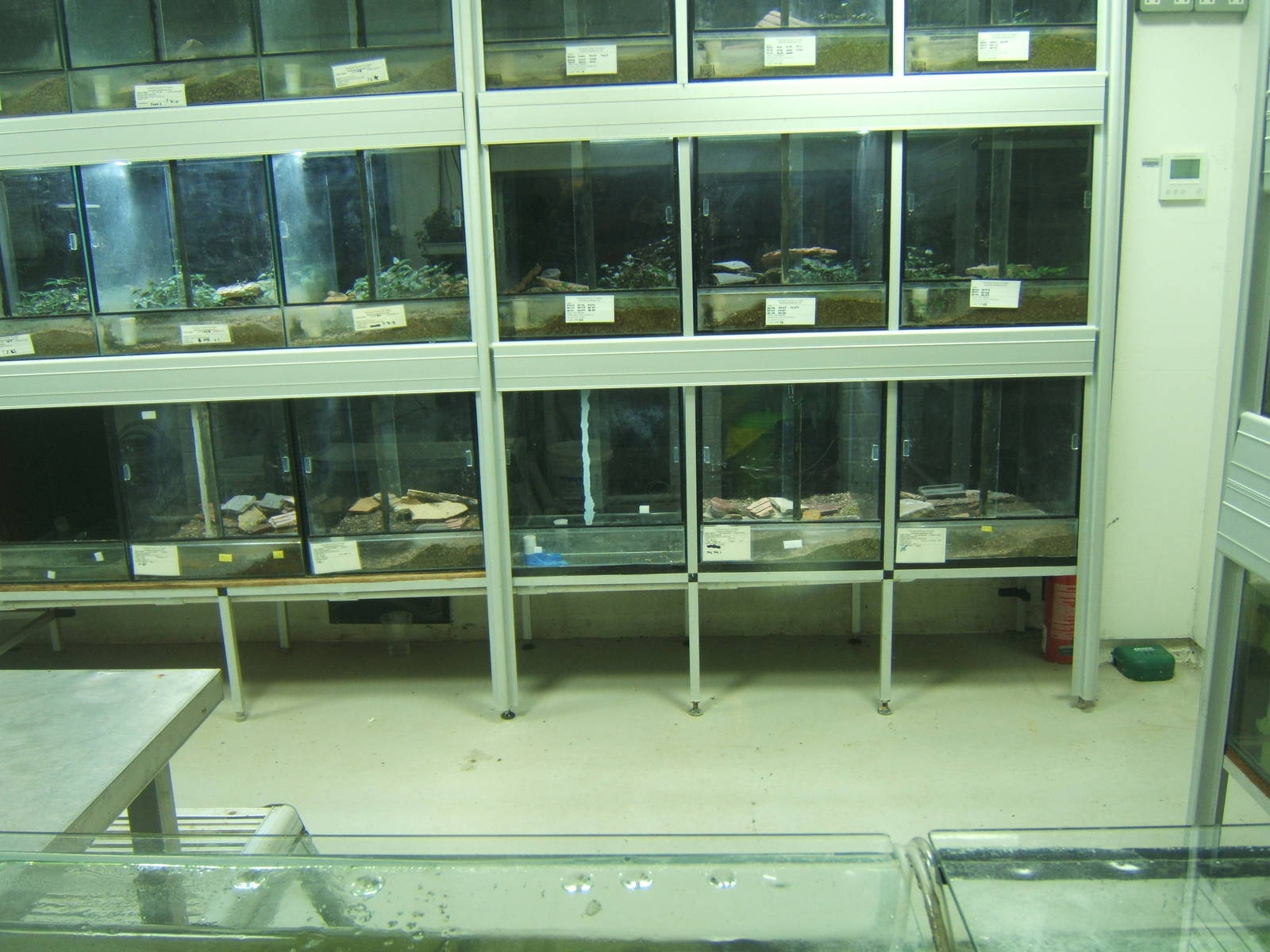 View of Amphibian breeding room