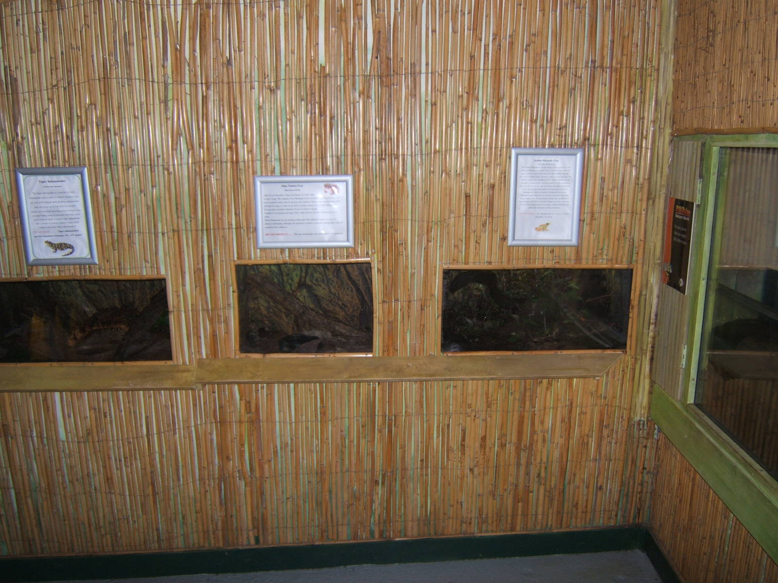View of Amphibian Room
