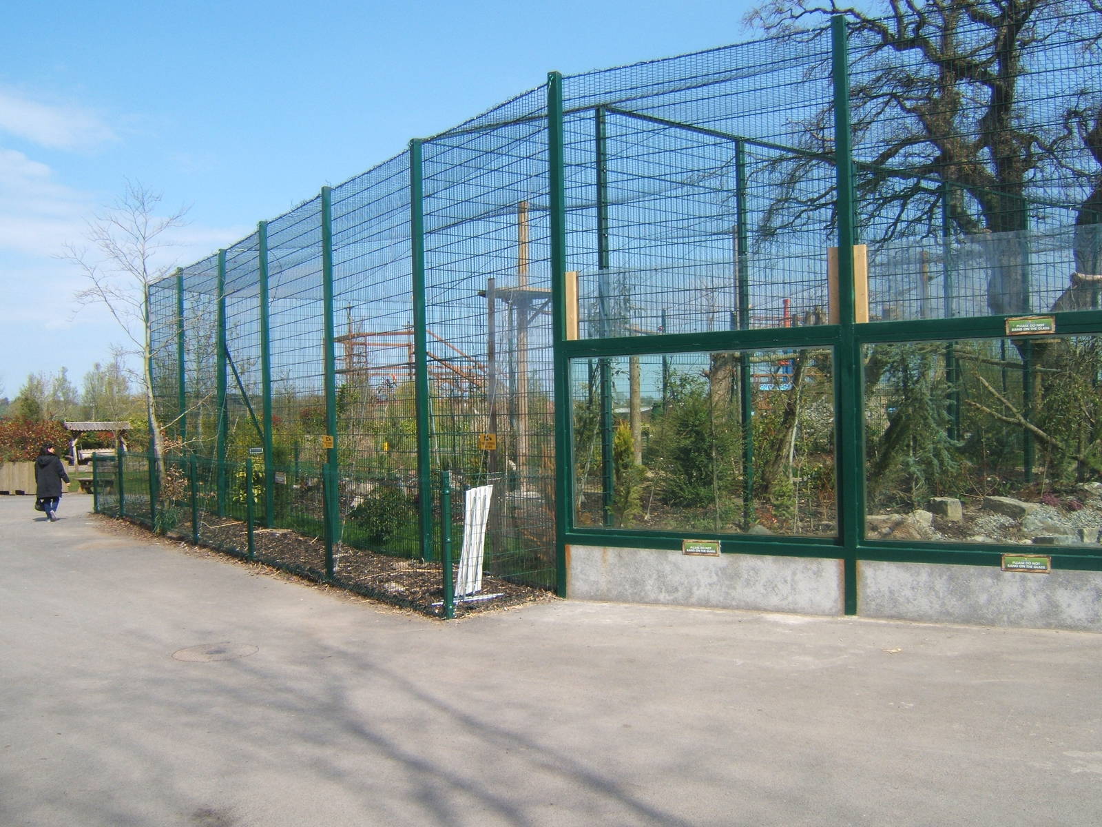 View of Amur Leopard enclosure