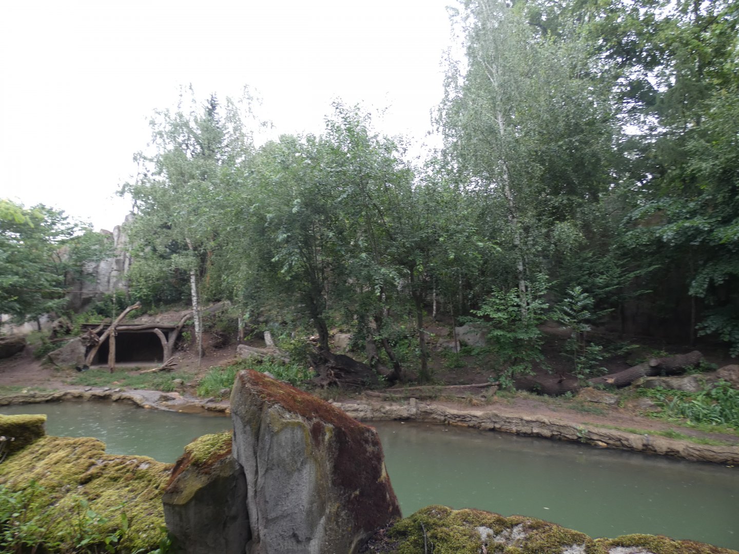 View of Amur Tiger enclosure