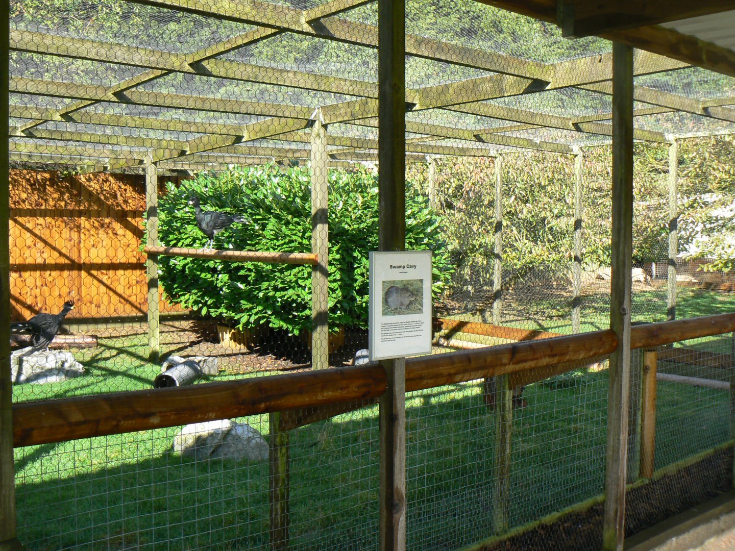 View of an Aviary/ Mammal Enclosure - 16 October 2016