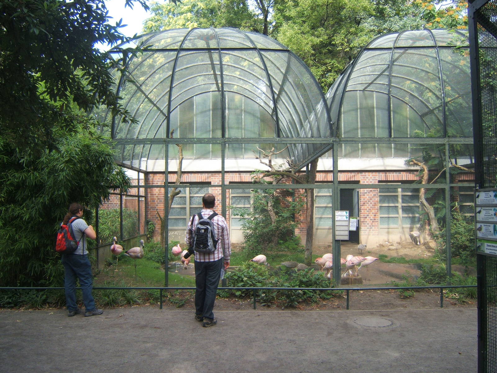 View of Andean and James Flamingo Aviary