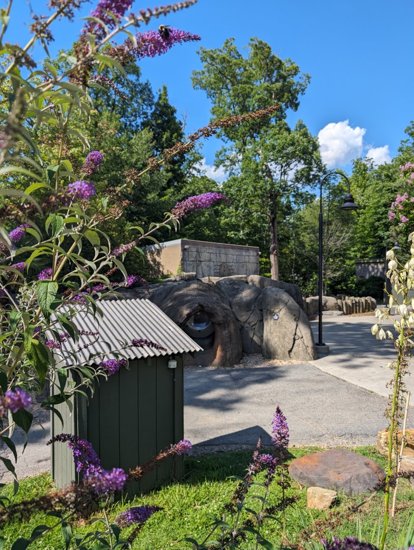View of Animal Discovery Plaza