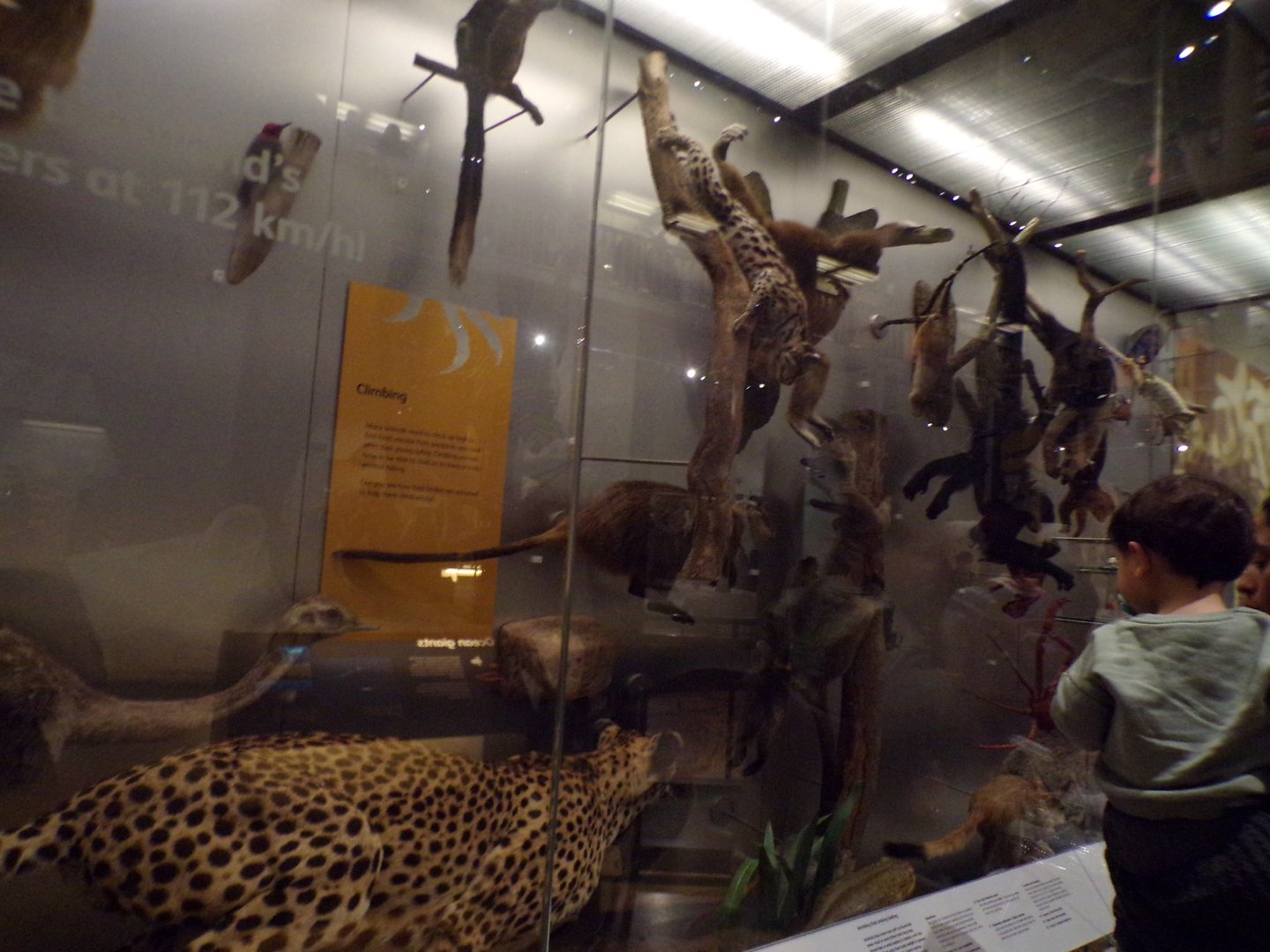 View of animal exhibit 30.12.22