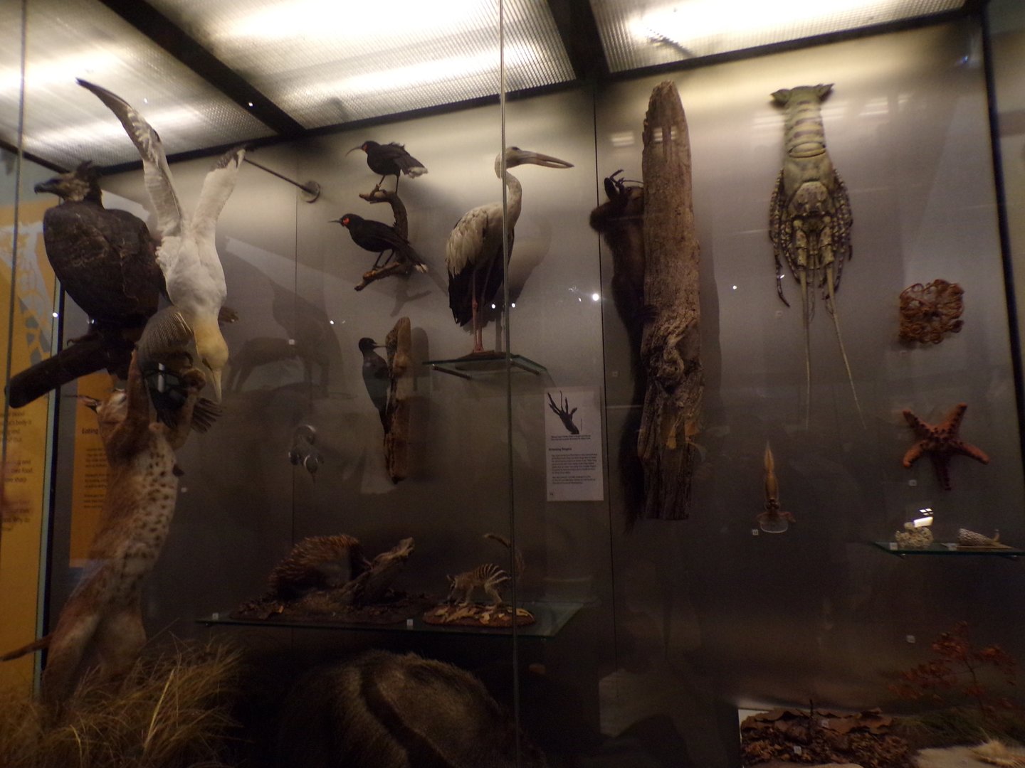 View of animal exhibit 30.12.22