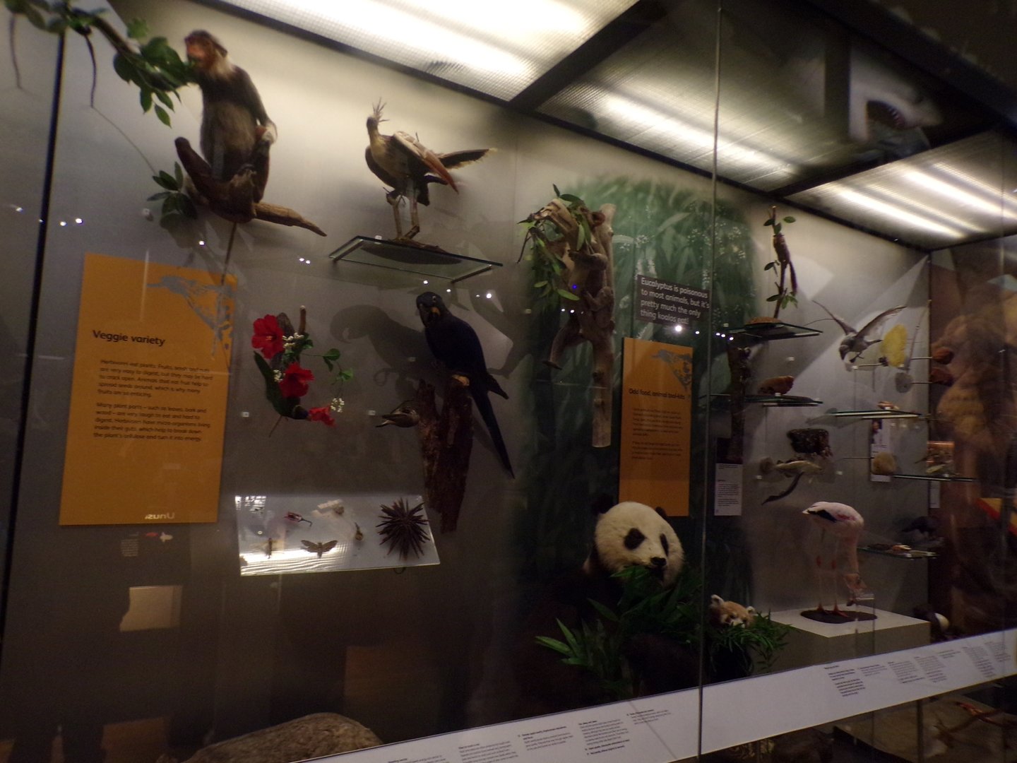 View of animal exhibit 30.12.22