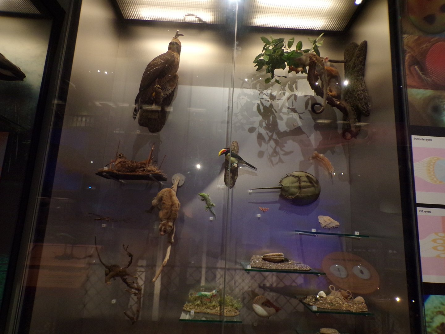 View of animal exhibit 30.12.22