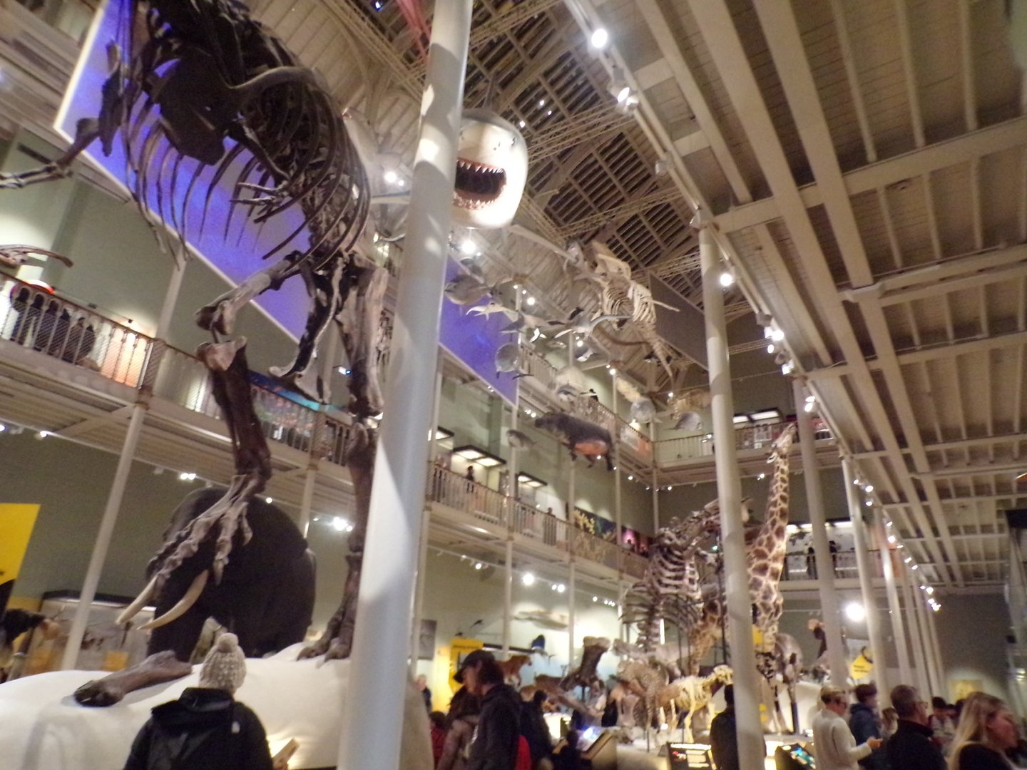 View of animal hall 30.12.22