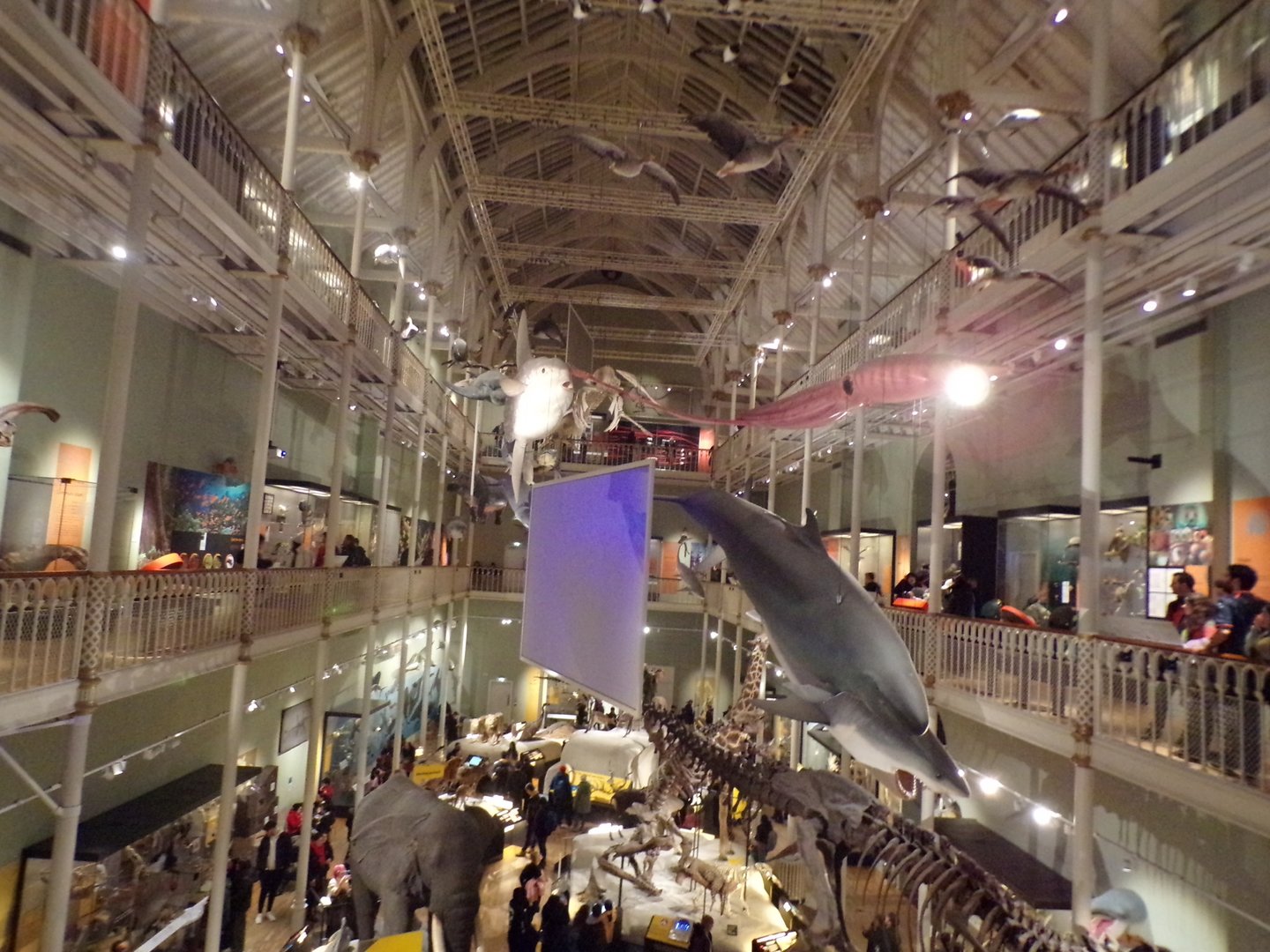 View of animal hall 30.12.22