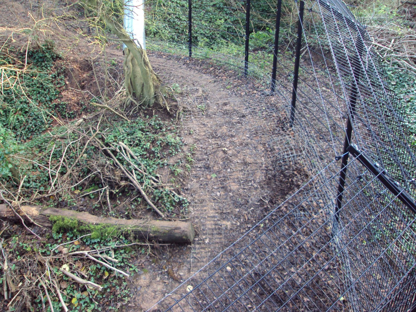 View of anti dig barrier round the edge of the enclosures 03/01/2020