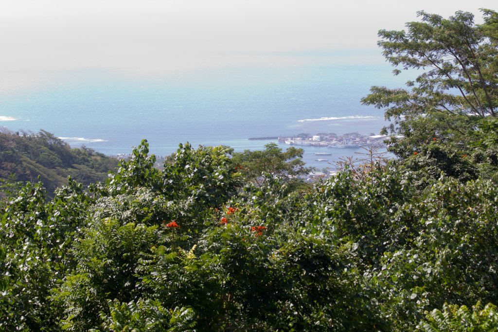 View of Apia from the Tomb
