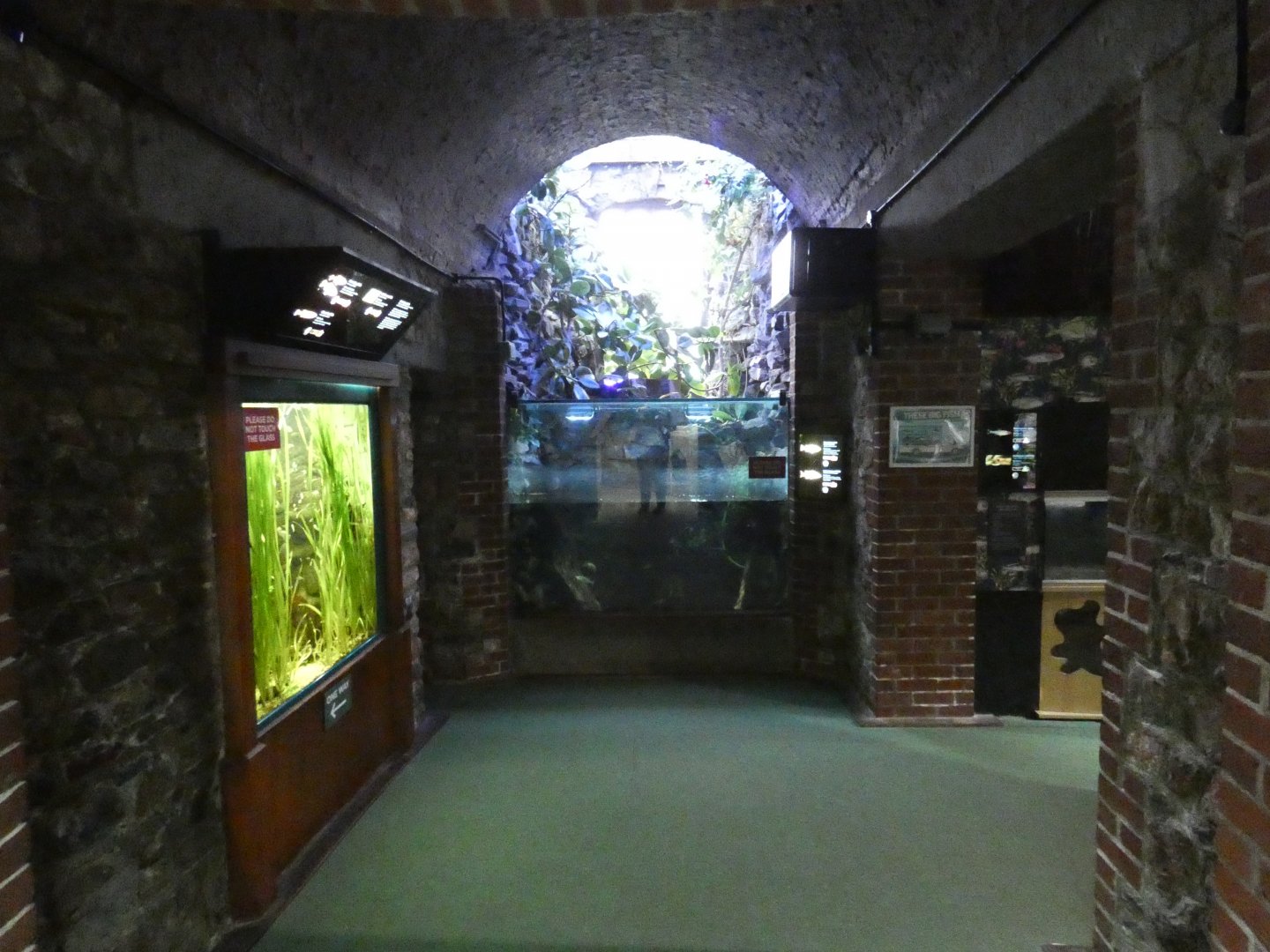 View of aquarium (2)