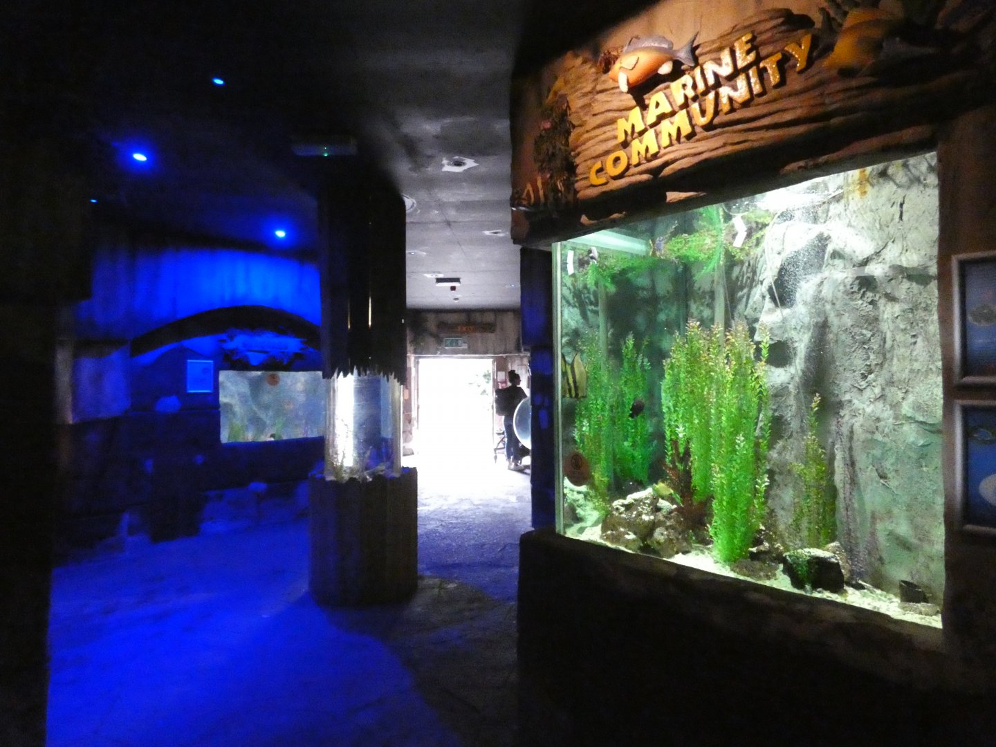 View of aquarium