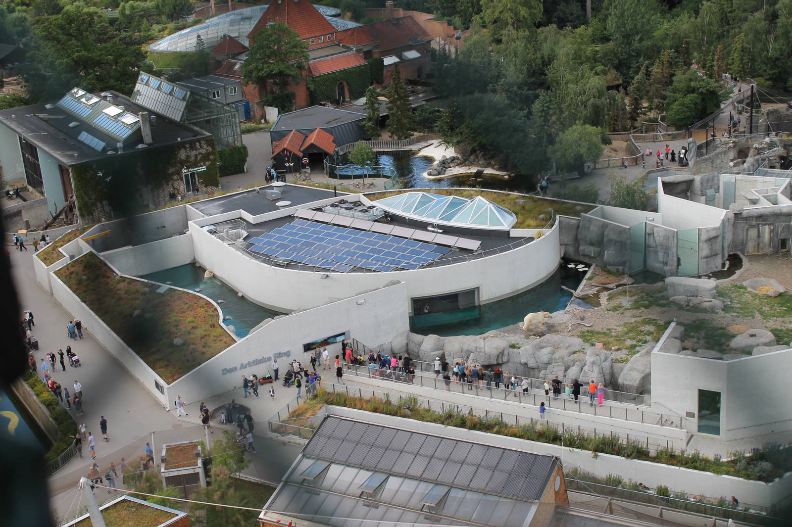 View of Arctic Circle exhibit
