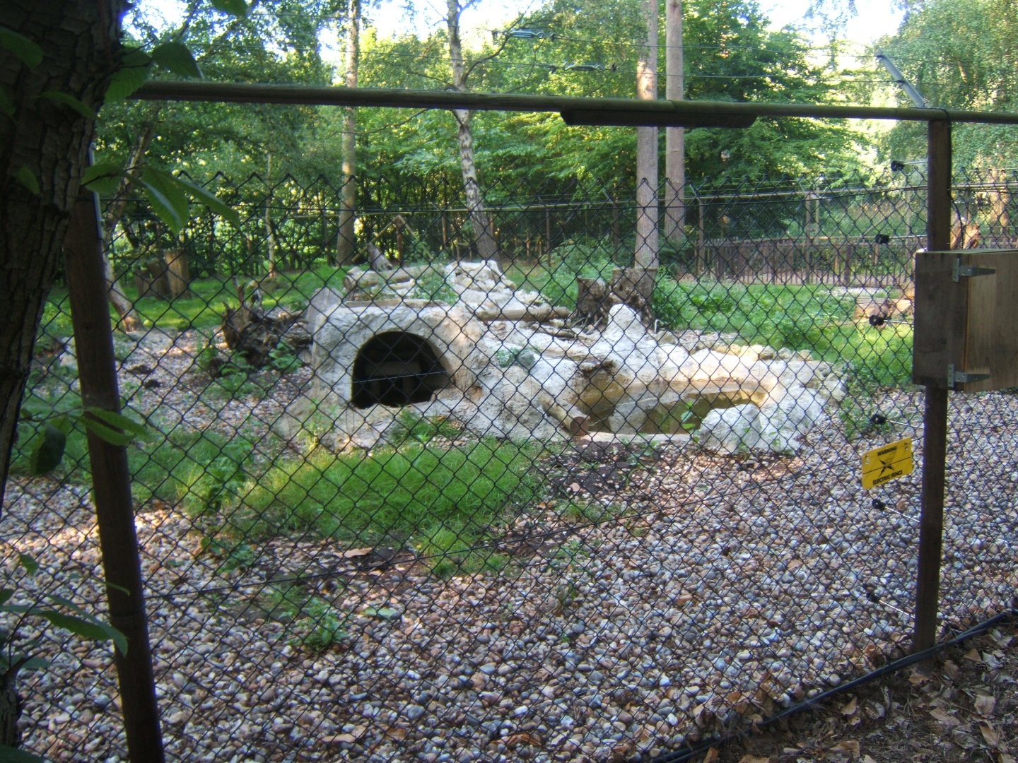 View of Arctic Fox enclosure 27/08/2017