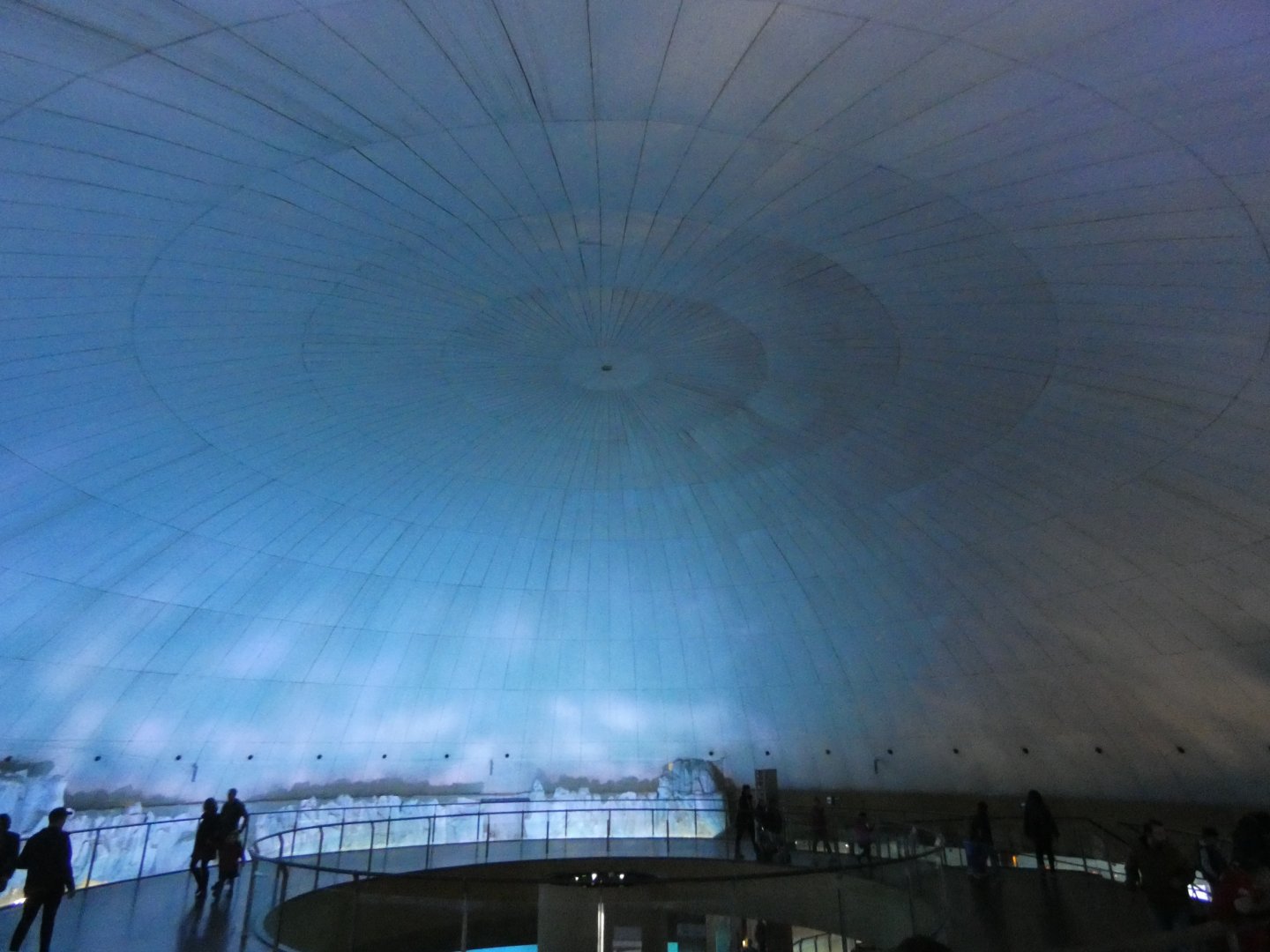 View of Arctic house (home to Belugas and Walrus)