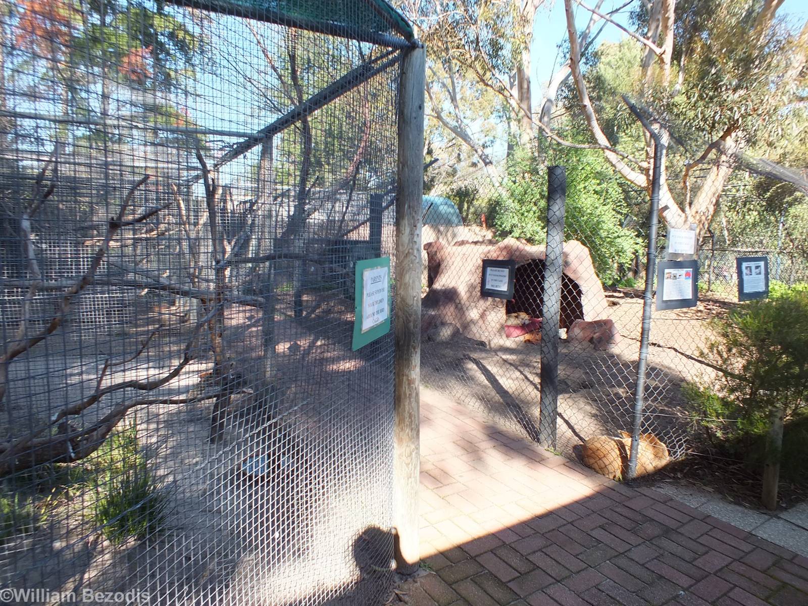 View of Area with Aviaries (left) and Dingo Enclosure (right)