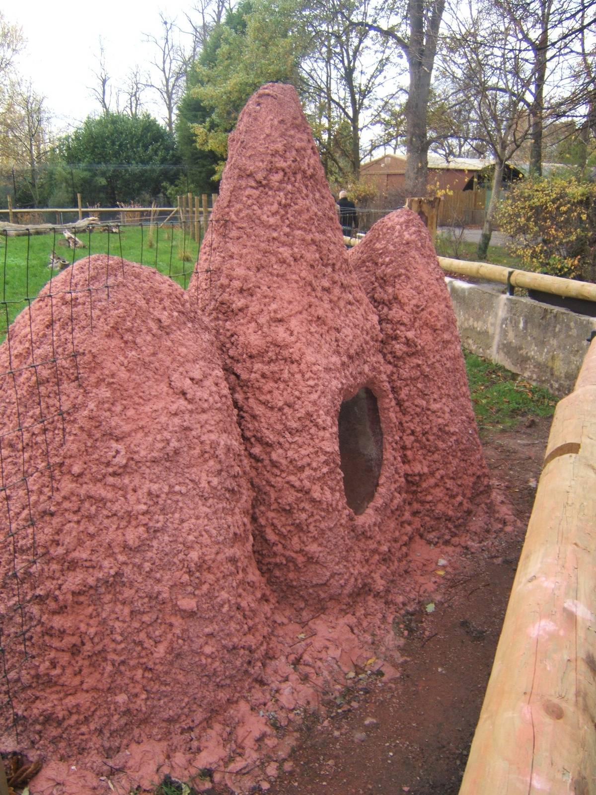 View of artificial Termite mound for Giant Anteaters