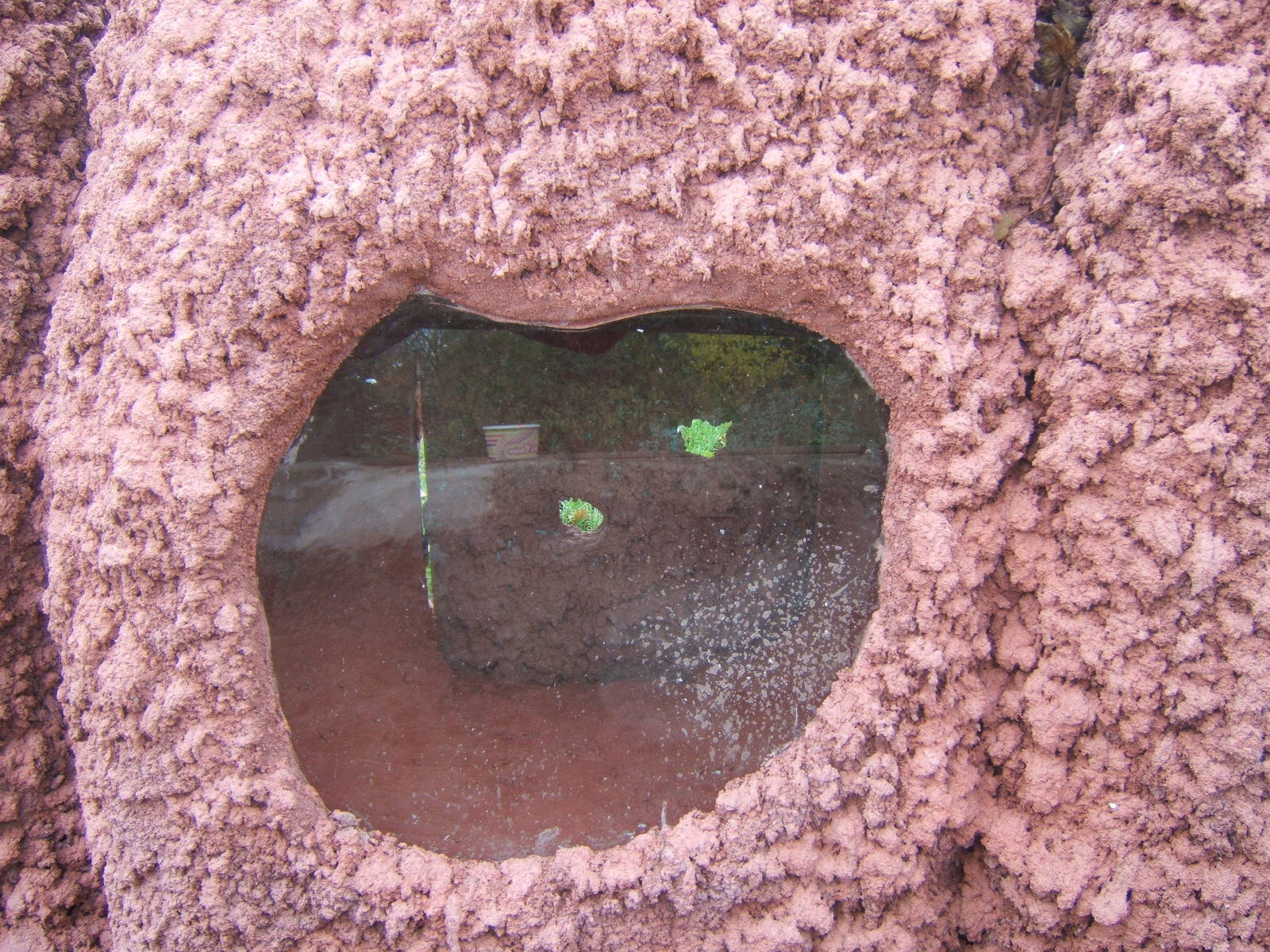 View of artificial Termite mound for Giant Anteaters