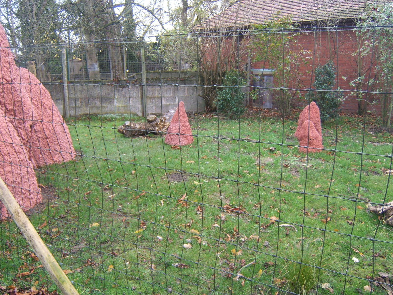 View of artificial Termite mounds for Giant Anteaters