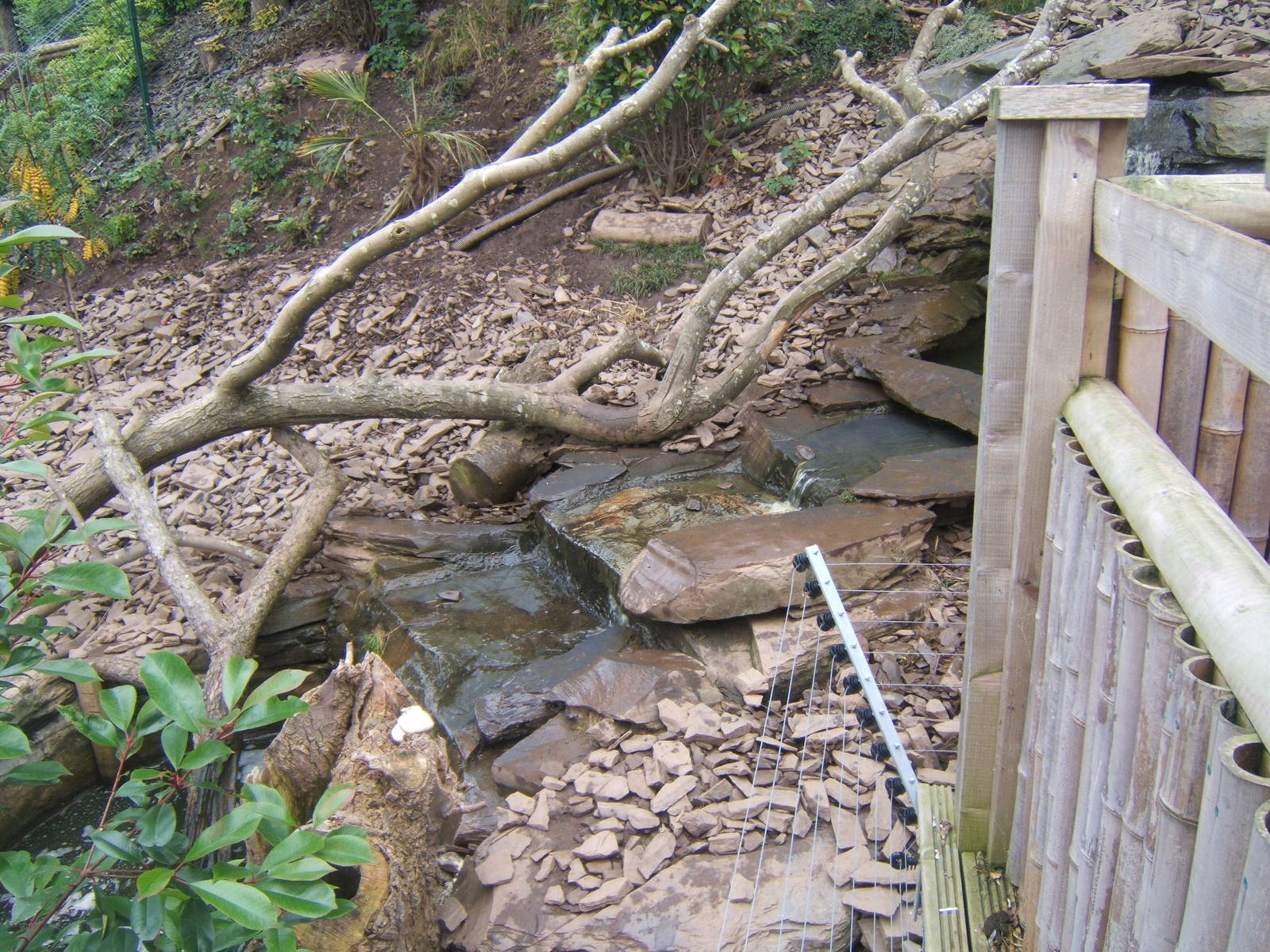 View of ASCO enclosure