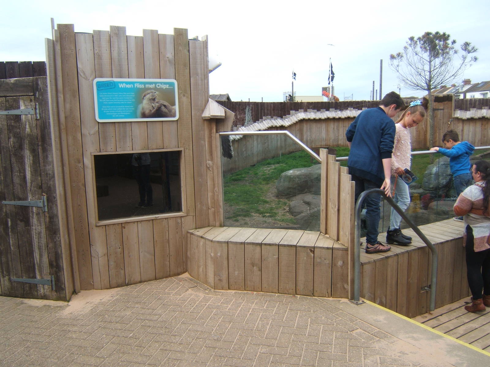 View of ASCO enclosure