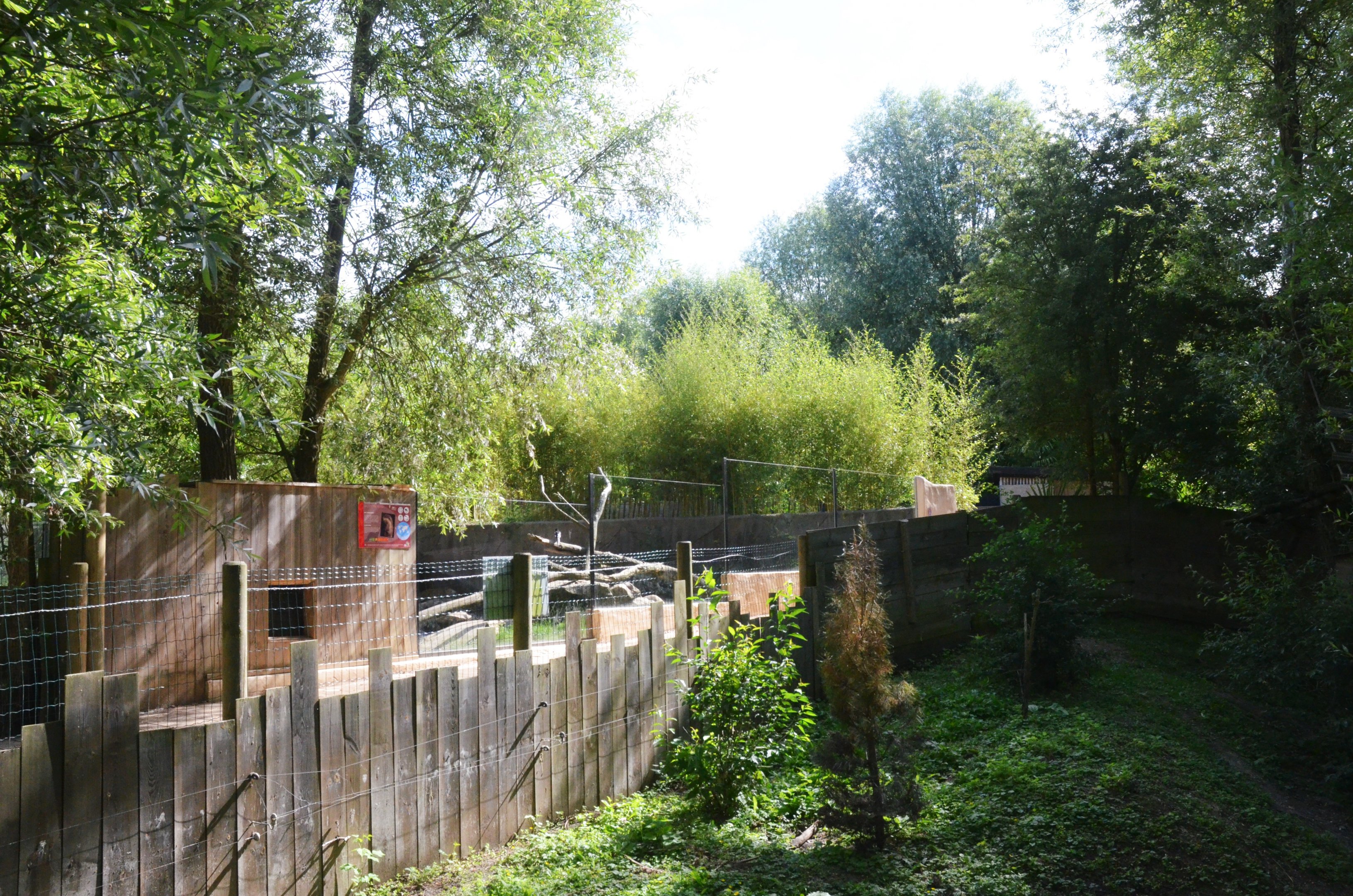 View of Asian Area at Biotropica, 16/06/18