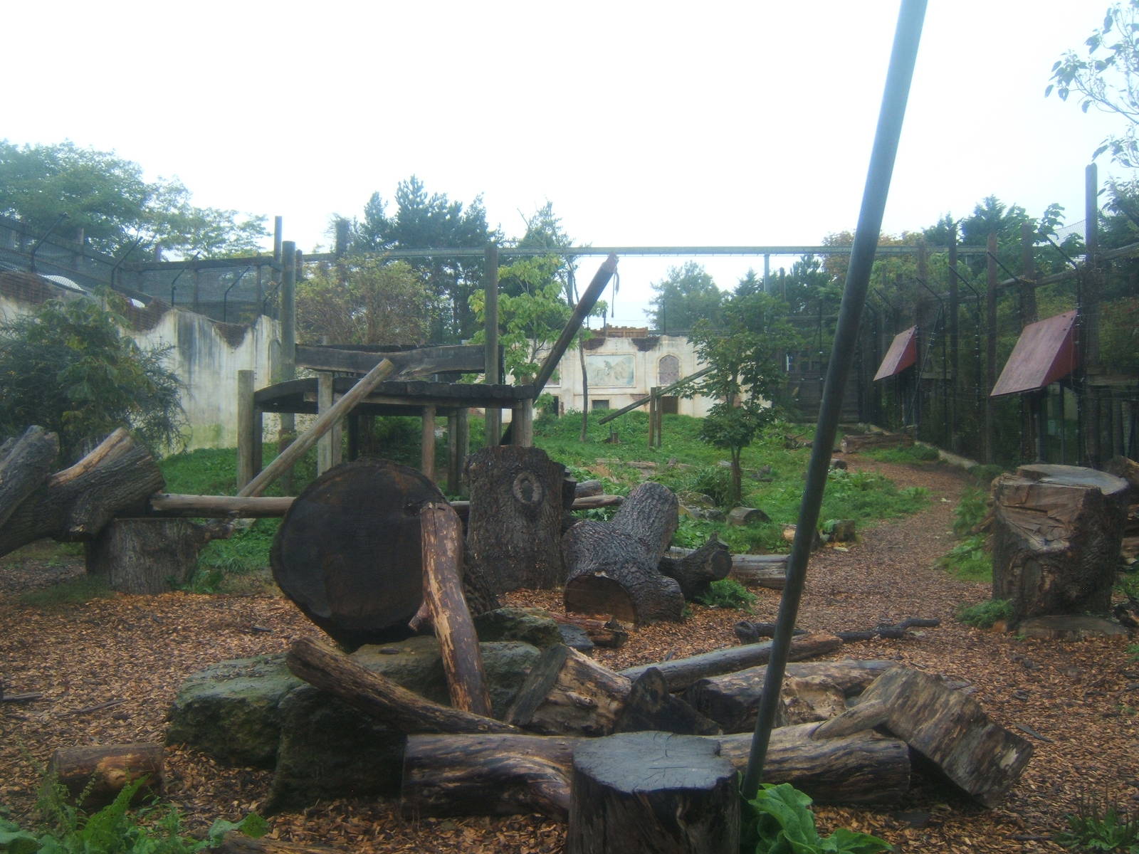 View of Asian Lion enclosure