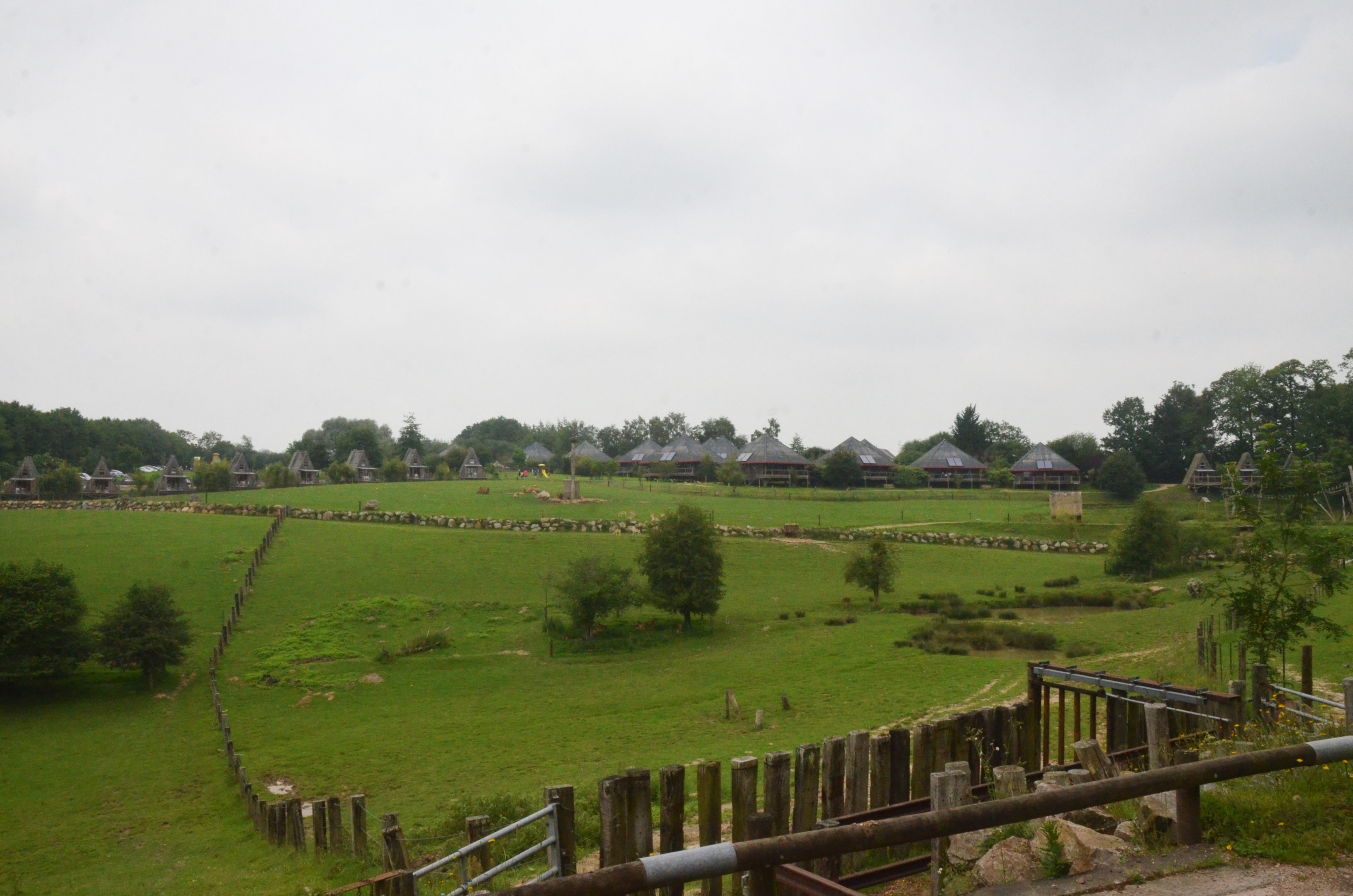 View of Asian Paddocks at CERZA, 10/06/18