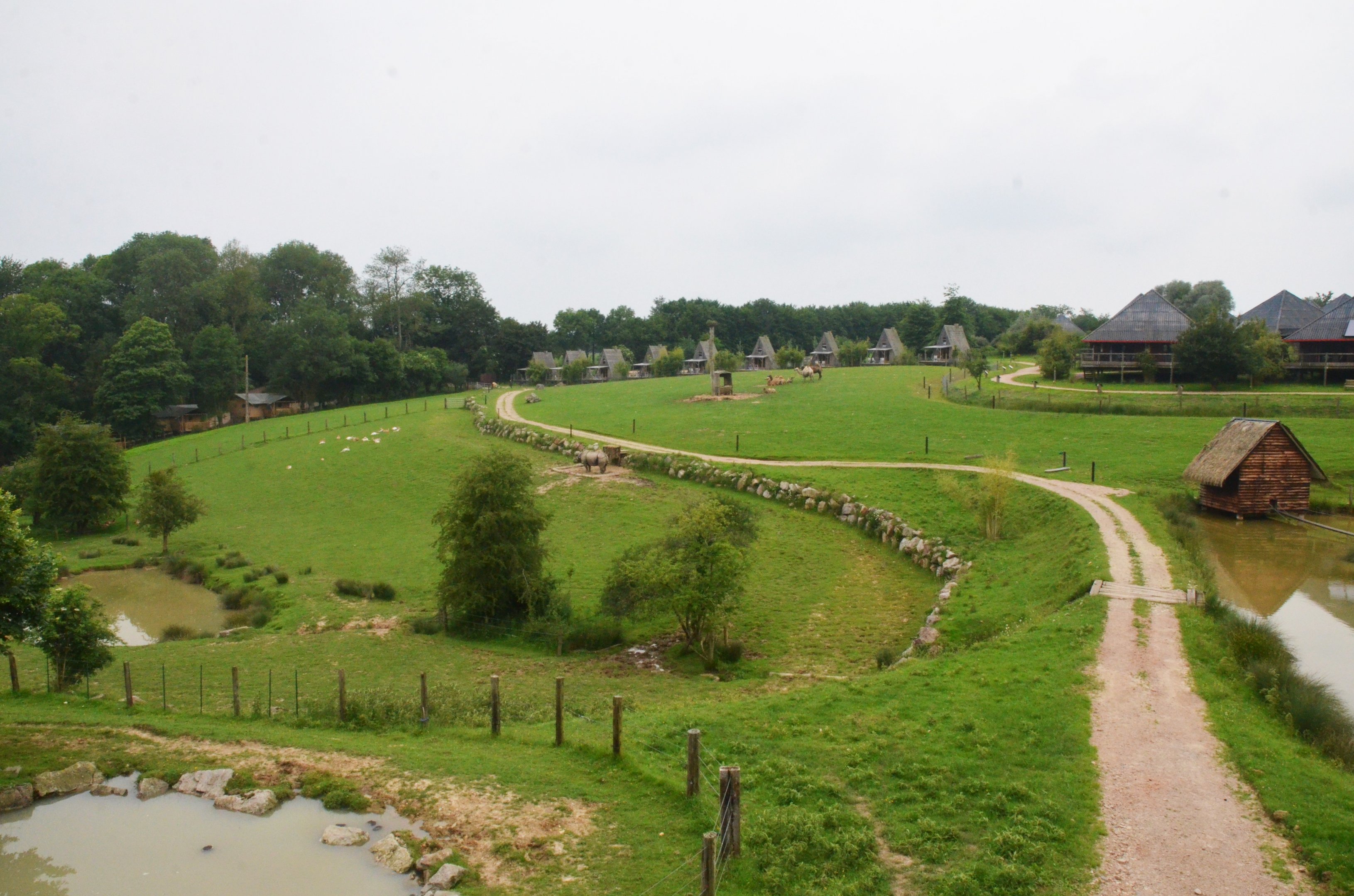 View of Asian Paddocks at CERZA, 10/06/18
