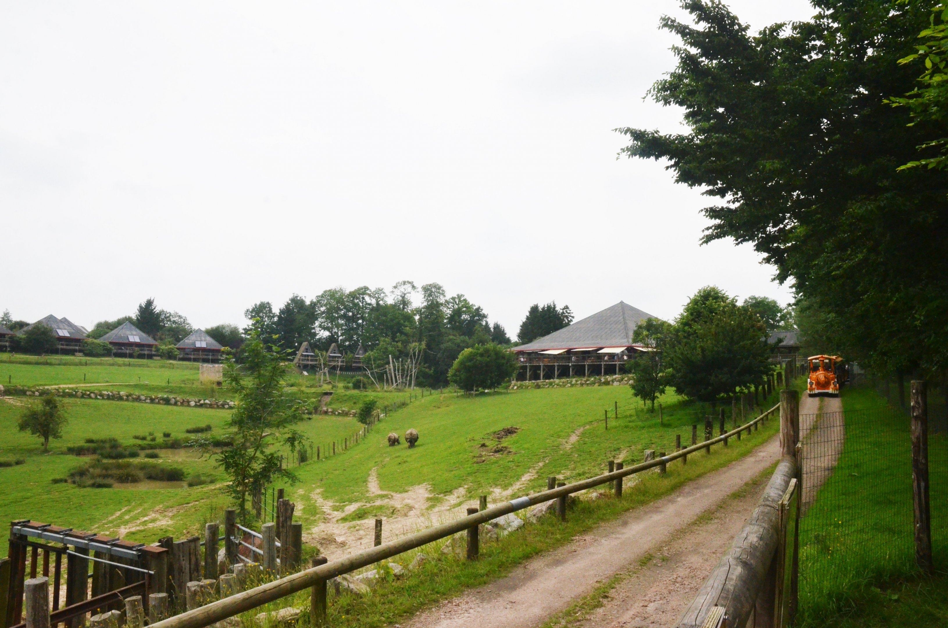 View of Asian Paddocks at CERZA, 10/06/18