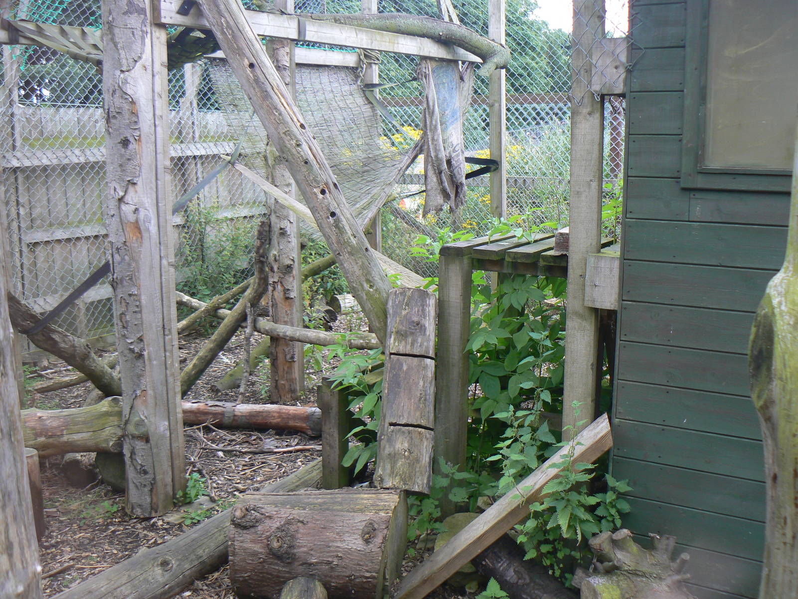 View of Asian Palm Civet Enclosure - 6 August 2016, Kirkley Hall Zoological