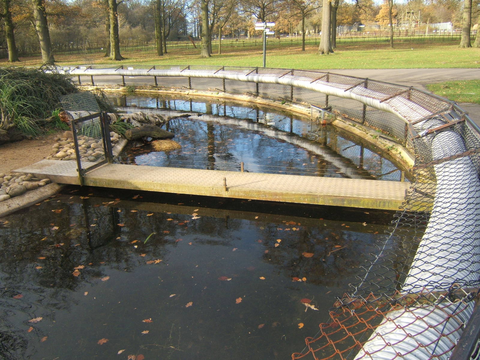 View of Asian Short-clawed Otter enclosure