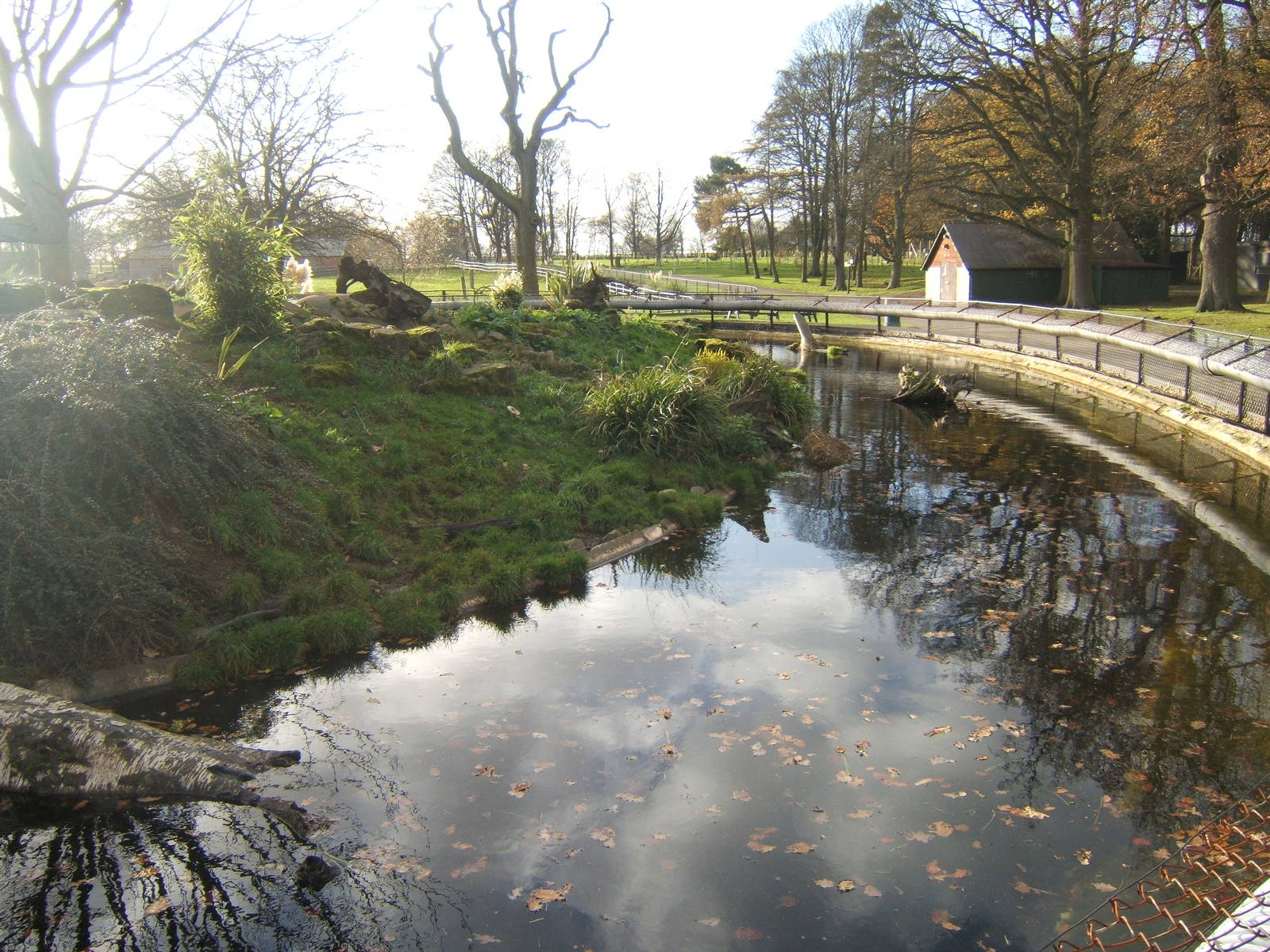 View of Asian Short-clawed Otter enclosure
