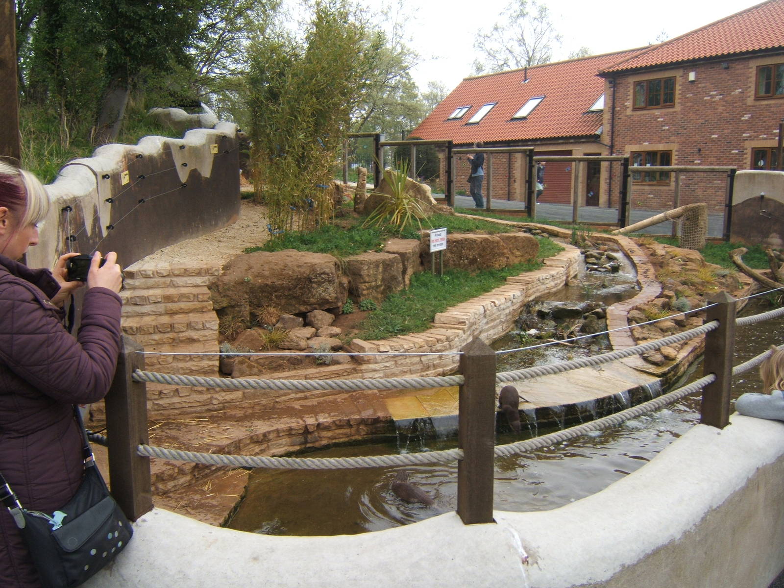 View of Asian Short-clawed Otter enclosure