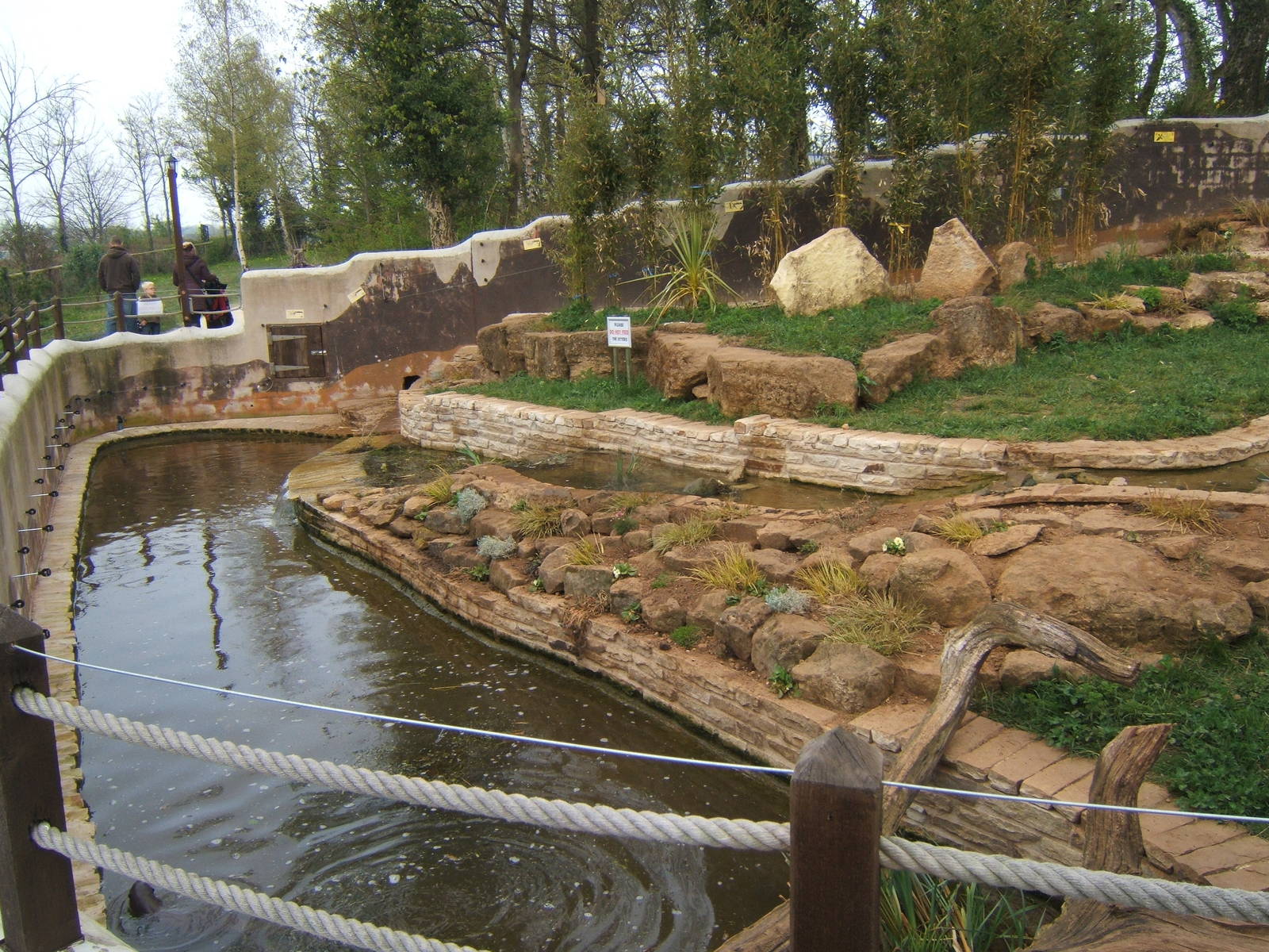 View of Asian Short-clawed Otter enclosure