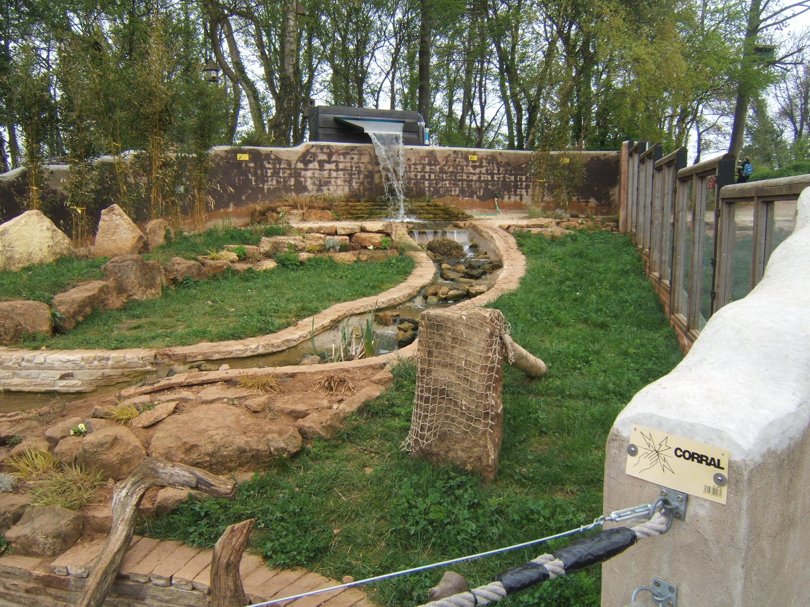 View of Asian Short-clawed Otter enclosure