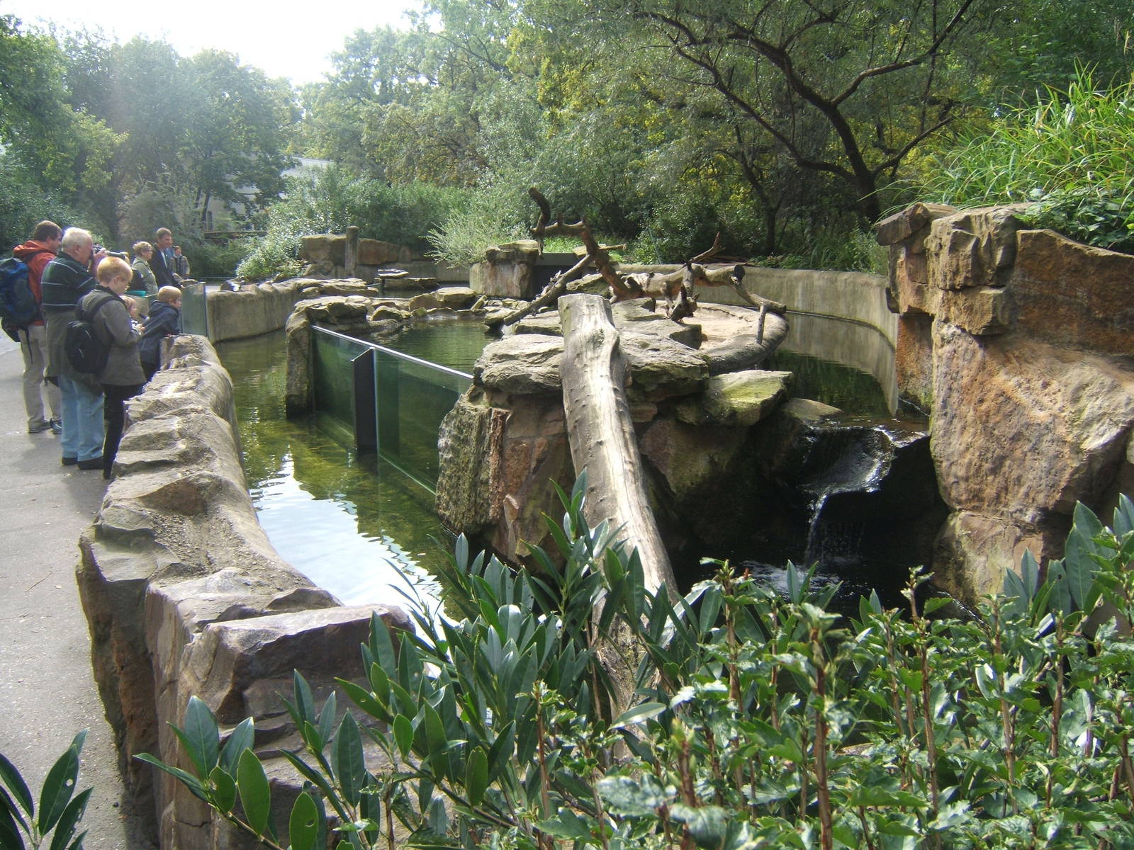 View of Asian Short-clawed Otter exhibit