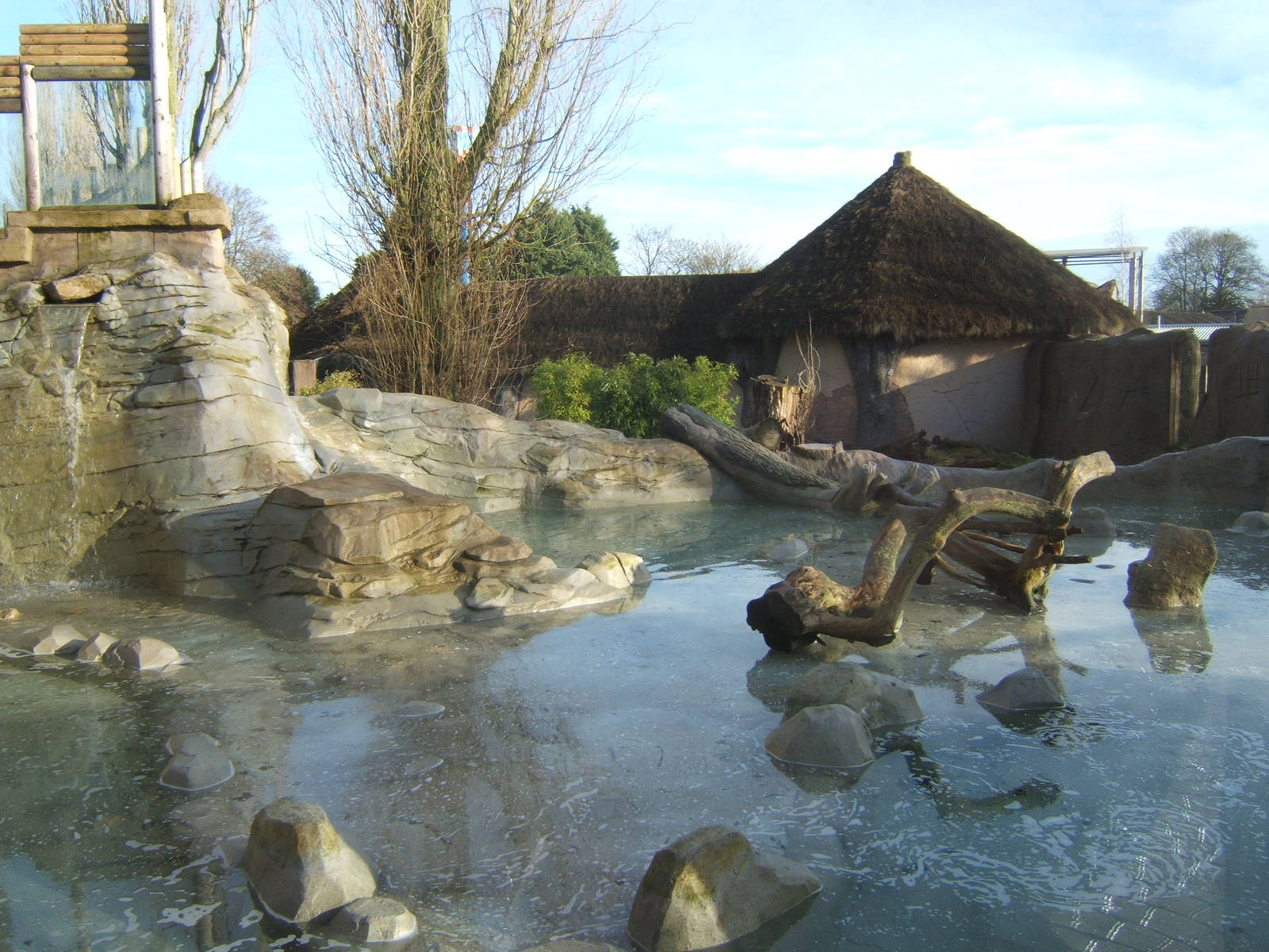 View of Asian Short-clawed Otter exhibit