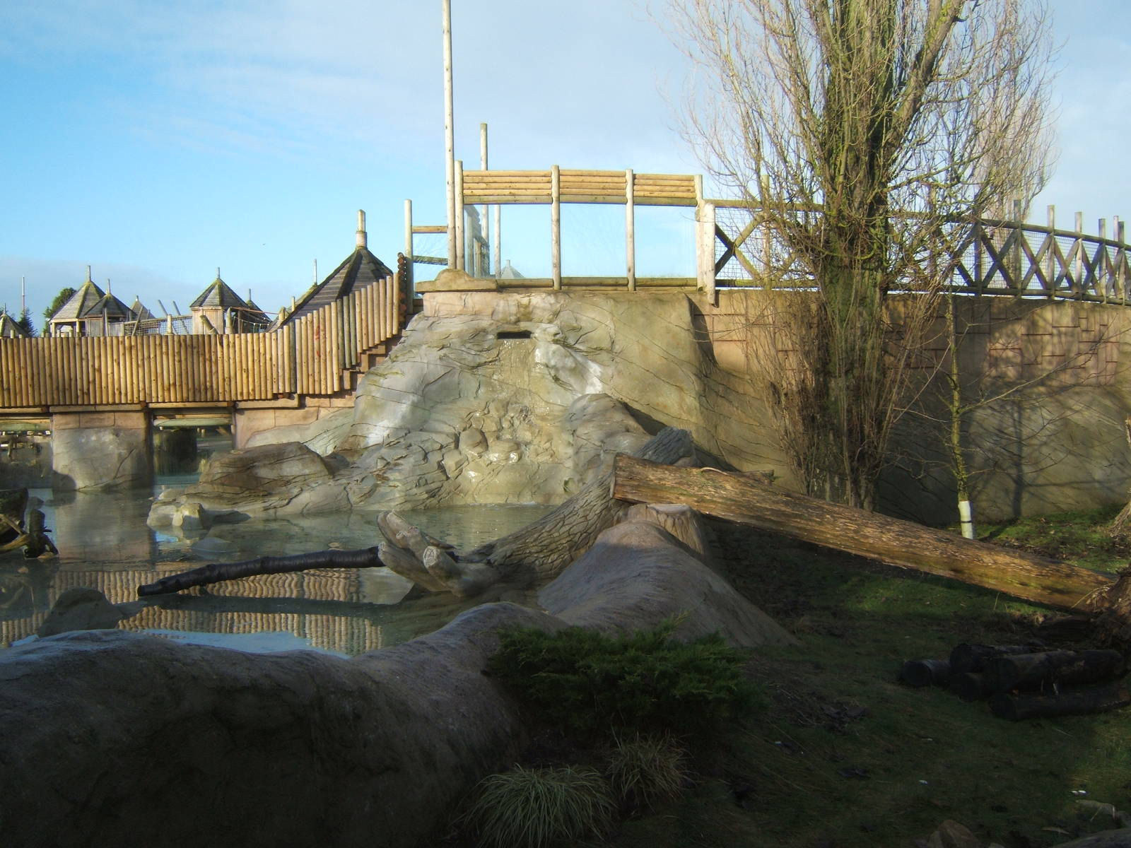 View of Asian Short-clawed Otter exhibit
