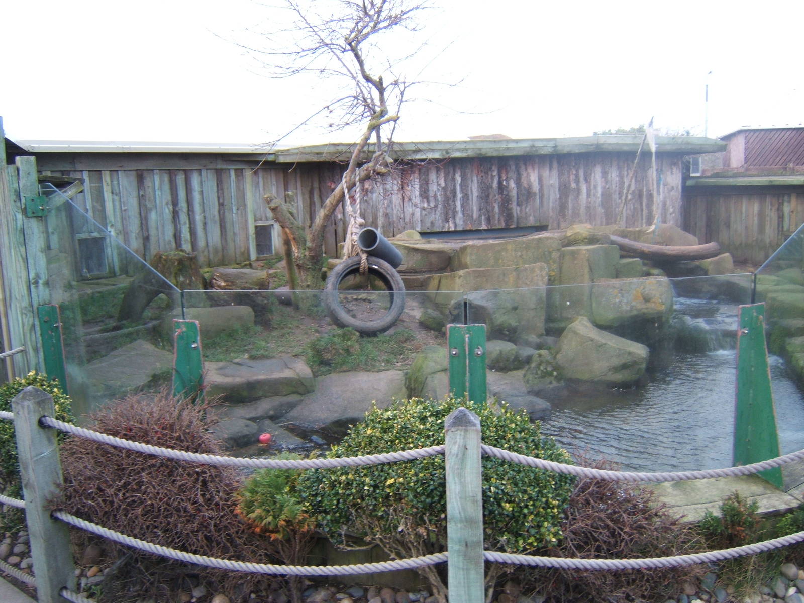 View of Asian Short-clawed Otter exhibit