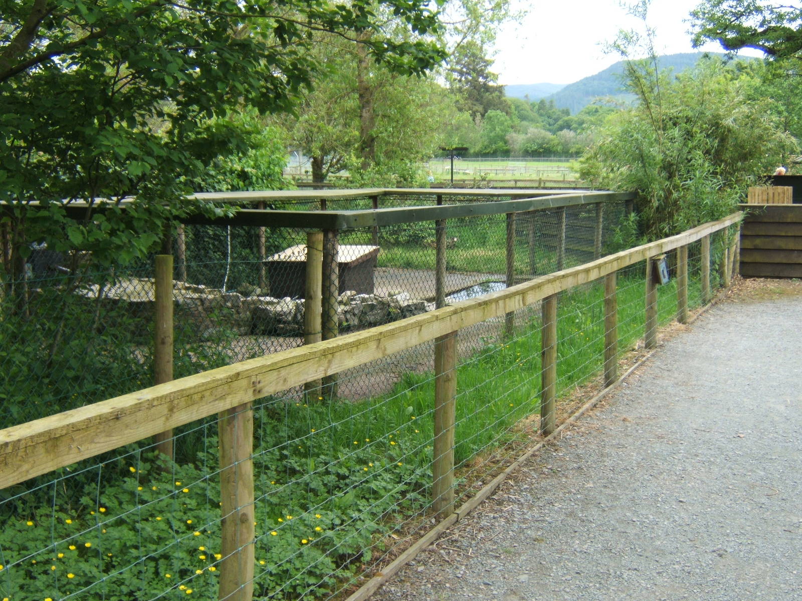 View of Asian Short-clawed Otter holding enclosure