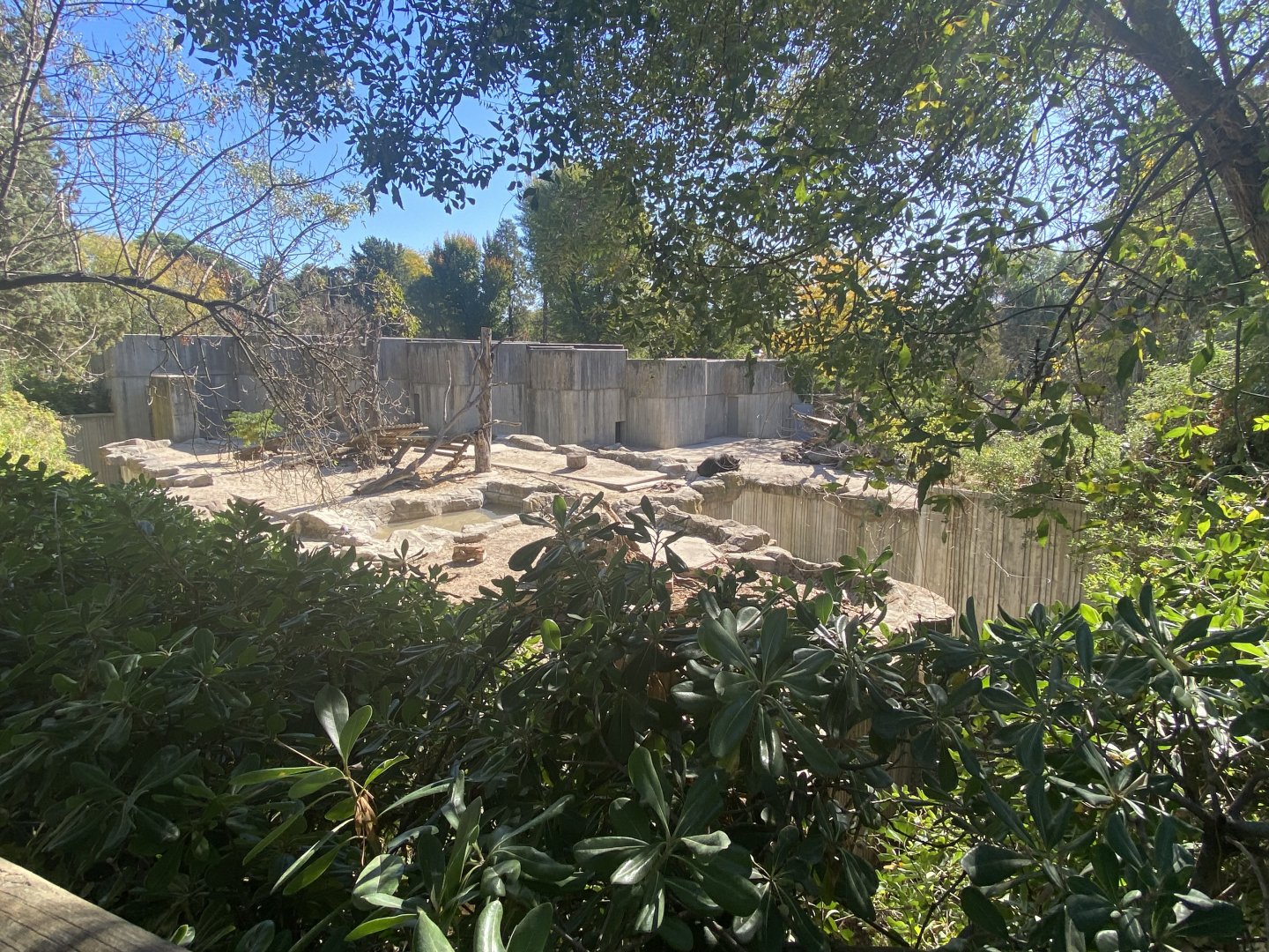 View of Asiatic black bear enclosure 1