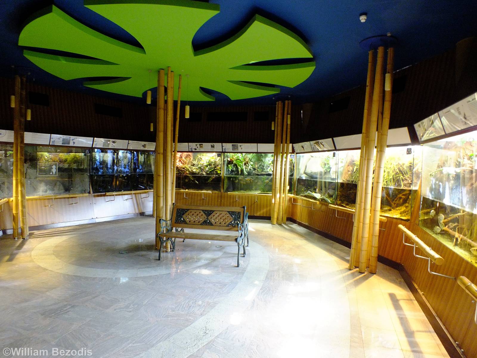 View of At the Border of Water and Land Section - Gdynia Aquarium