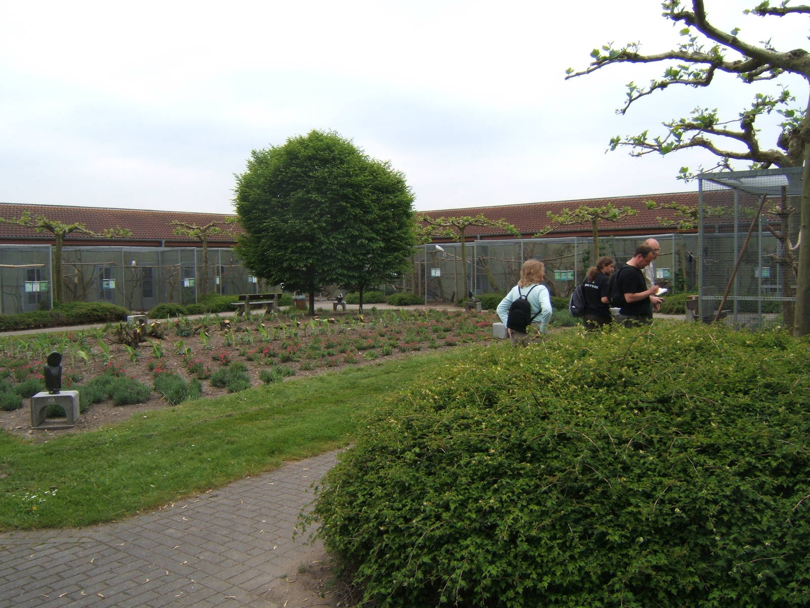 View of Australian Aviarys