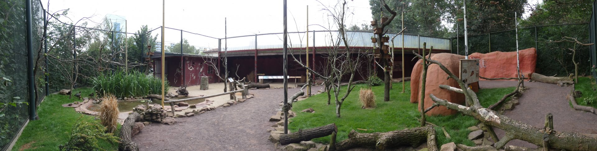 View of Australian Walk-through Aviary