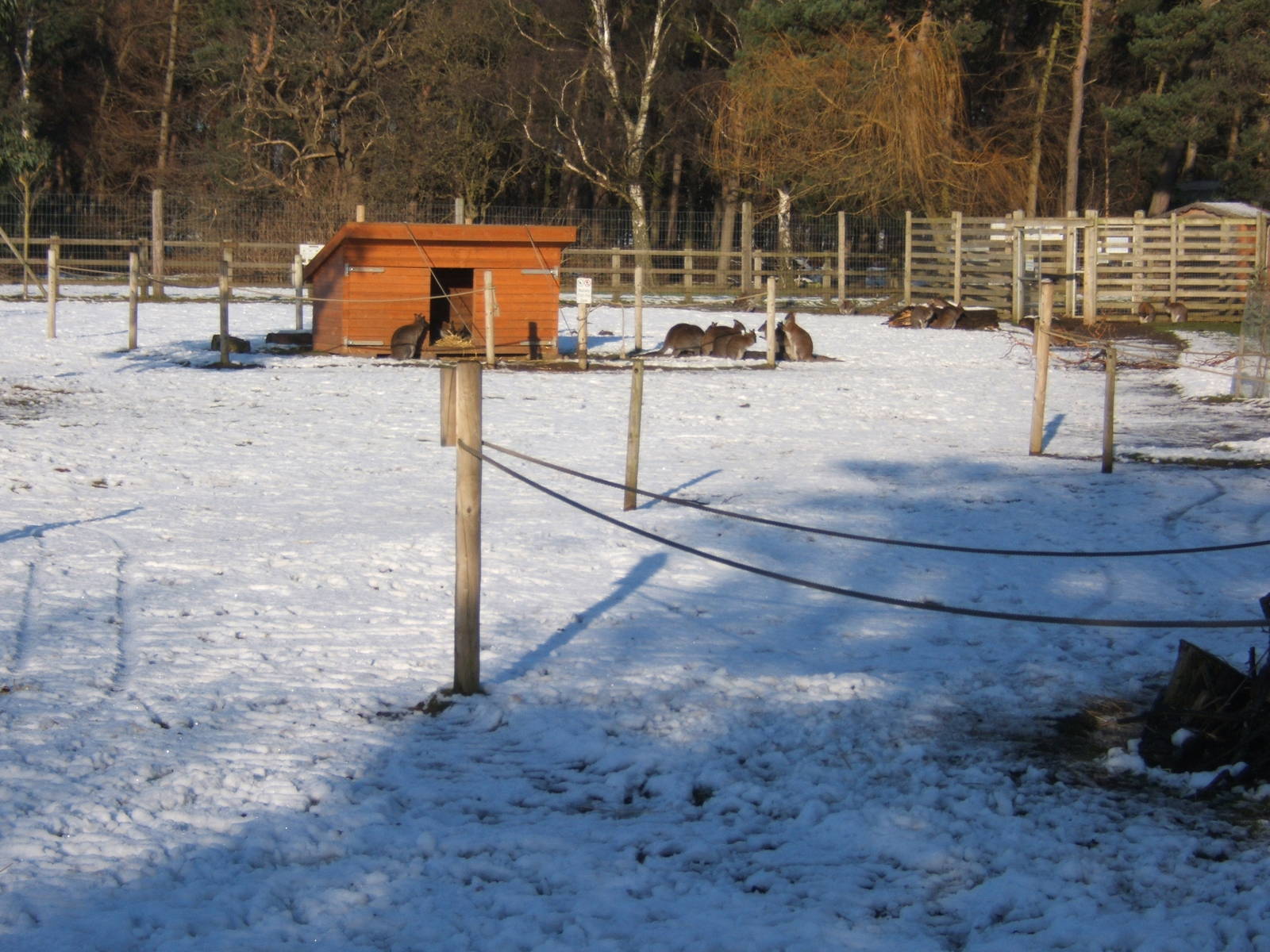 View of Australian walk through