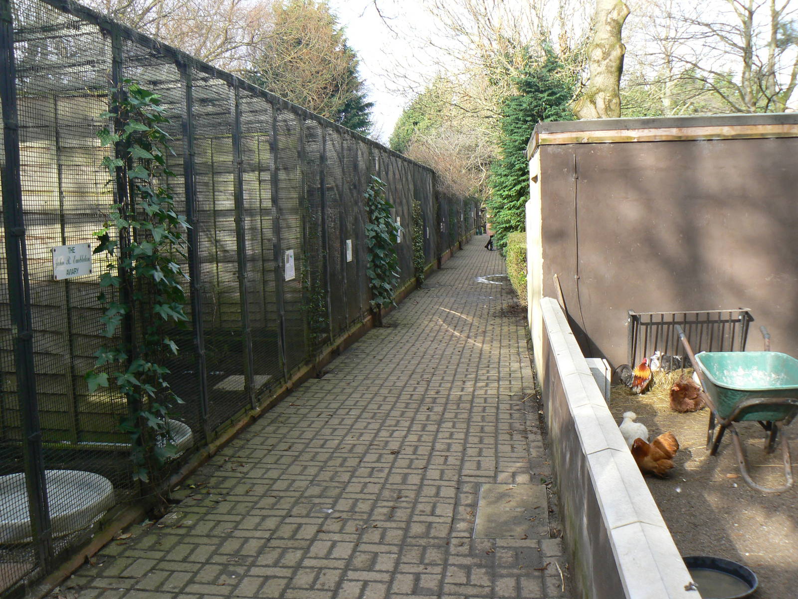 View of Aviaries - 16 February 2016, Kirkleatham Owl Centre