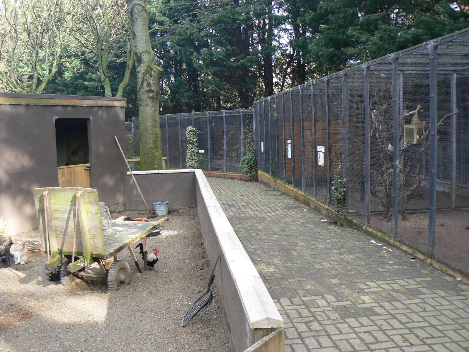 View of Aviaries - 16 February 2016, Kirkleatham Owl Centre